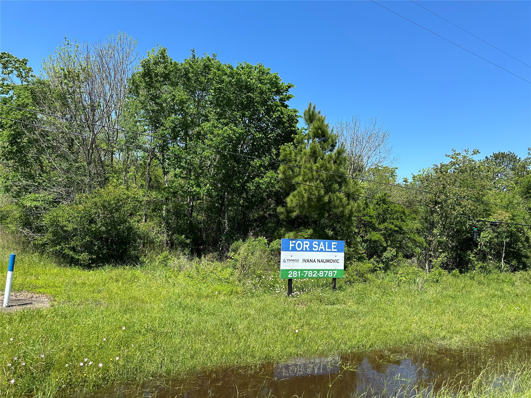 1960 East Fm 1960 Road East Huffman, TX 77336 - Photo 8 of 10 a view of a sign in a garden