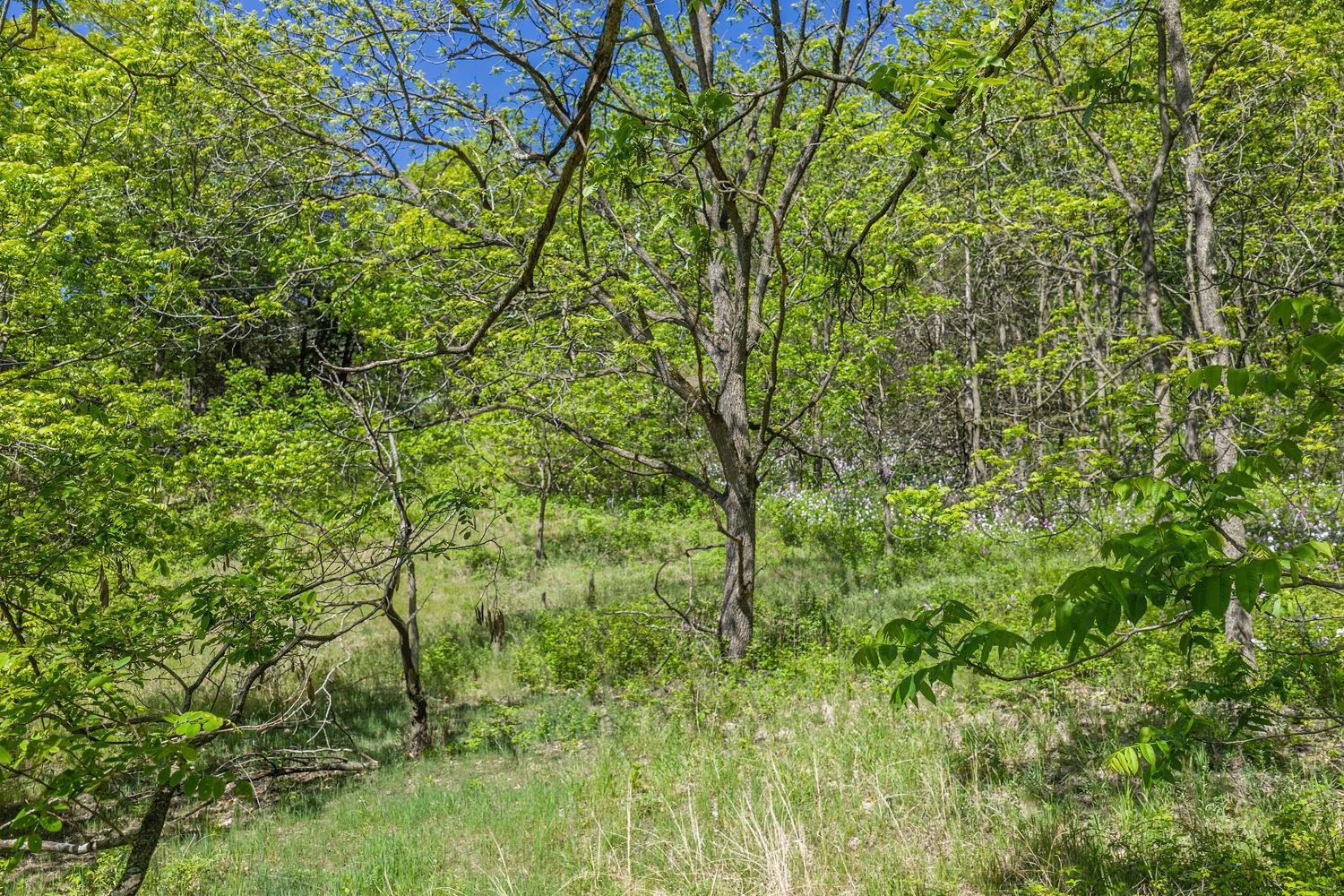 N2301 Cactus Acres Lodi, WI 53555 - Photo 10 of 17