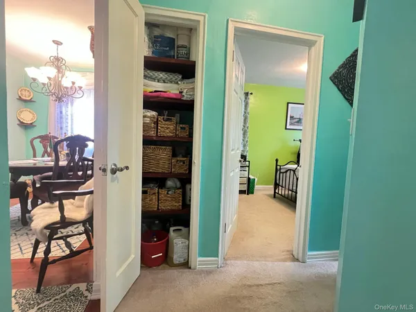 a view of a livingroom with furniture and closet