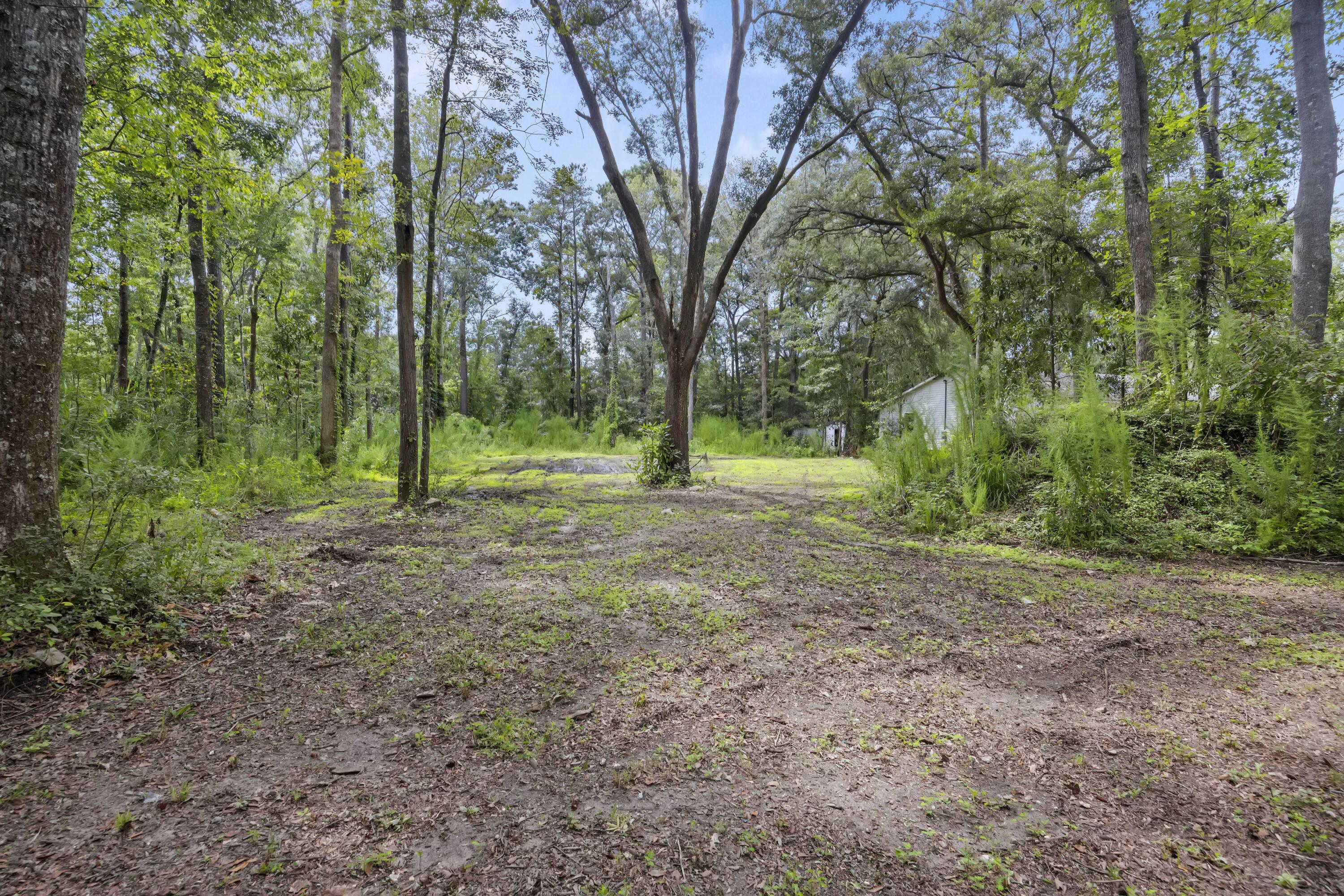 5375 Highway 174 Adams Run, SC 29426 - Photo 30 of 34 243A1074