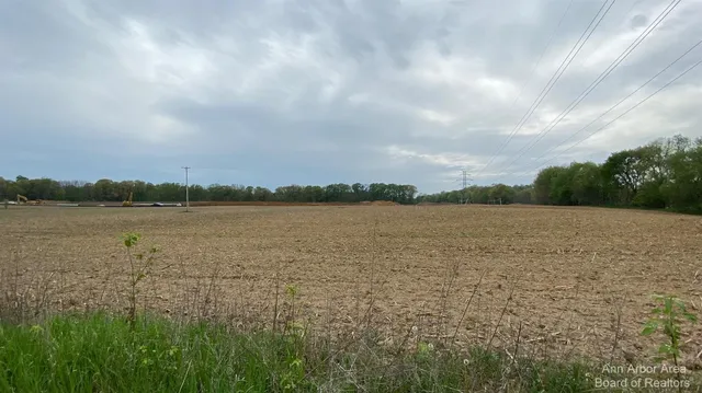 $300,000 | 0 Boyce Road, Gregory, MI 48137