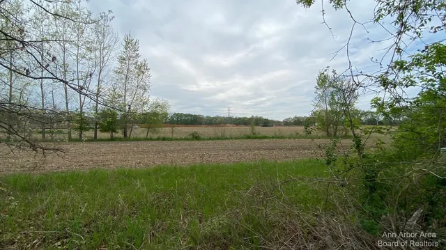 $300,000 | 0 Boyce Road, Gregory, MI 48137