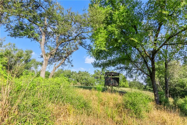 a view of a yard with a tree
