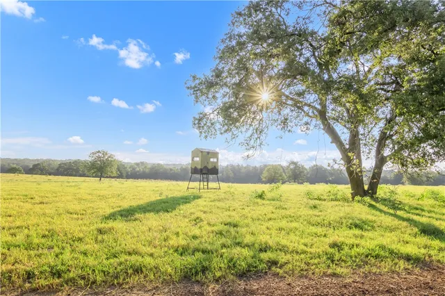 a view of an outdoor space and a yard