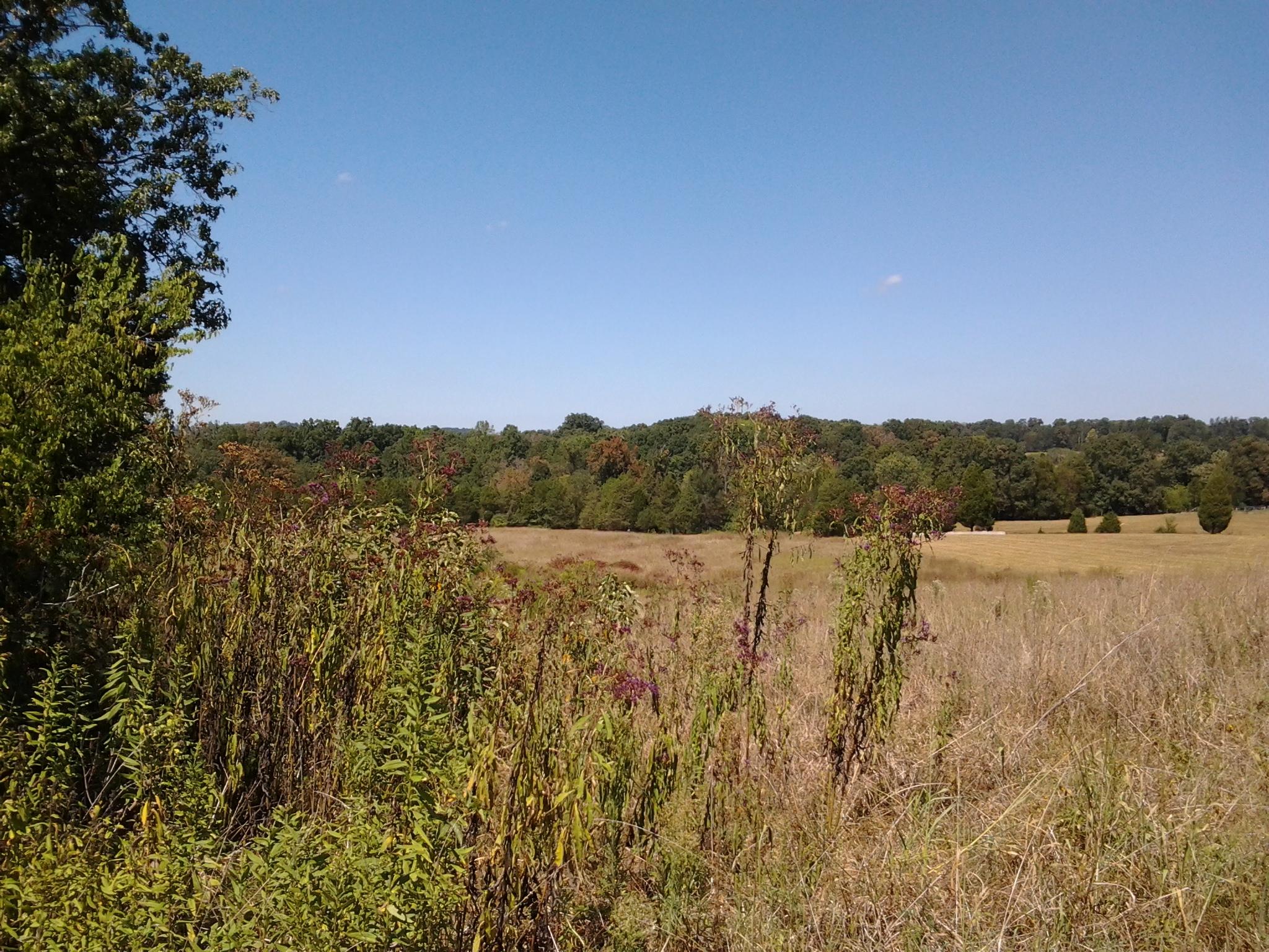 Oak Grove Road, Unit 6 Madisonville, TN 37354 - Photo 1 of 3 20160912_134447