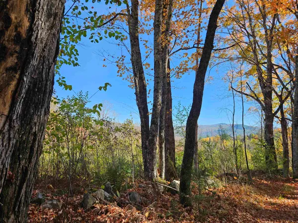 $164,000 | 324 Crane Hill Road, Sugar Hill, NH 03586