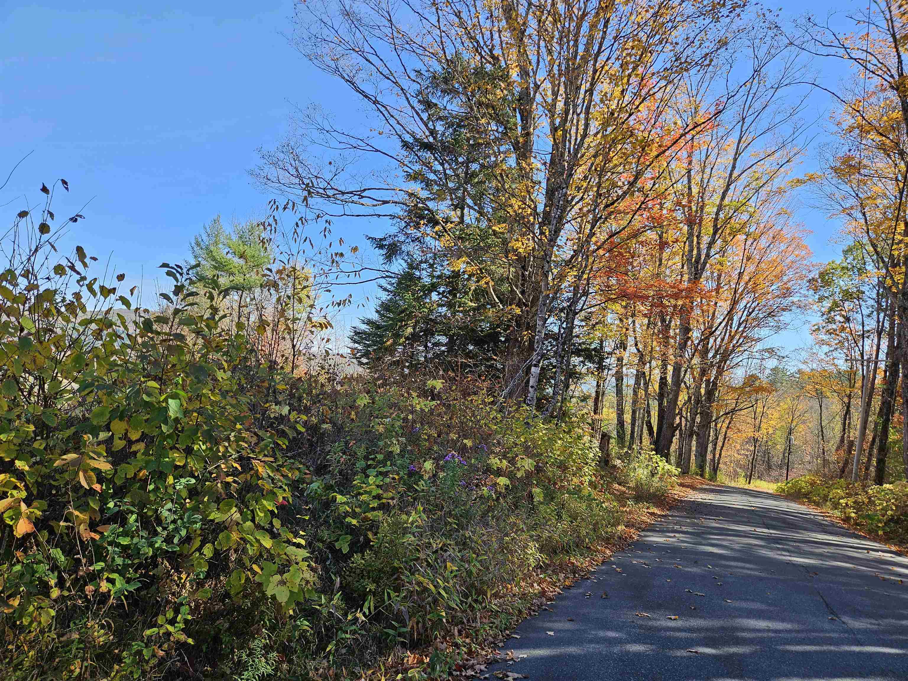 324 Crane Hill Road Sugar Hill, NH 03586 - Photo 12 of 60