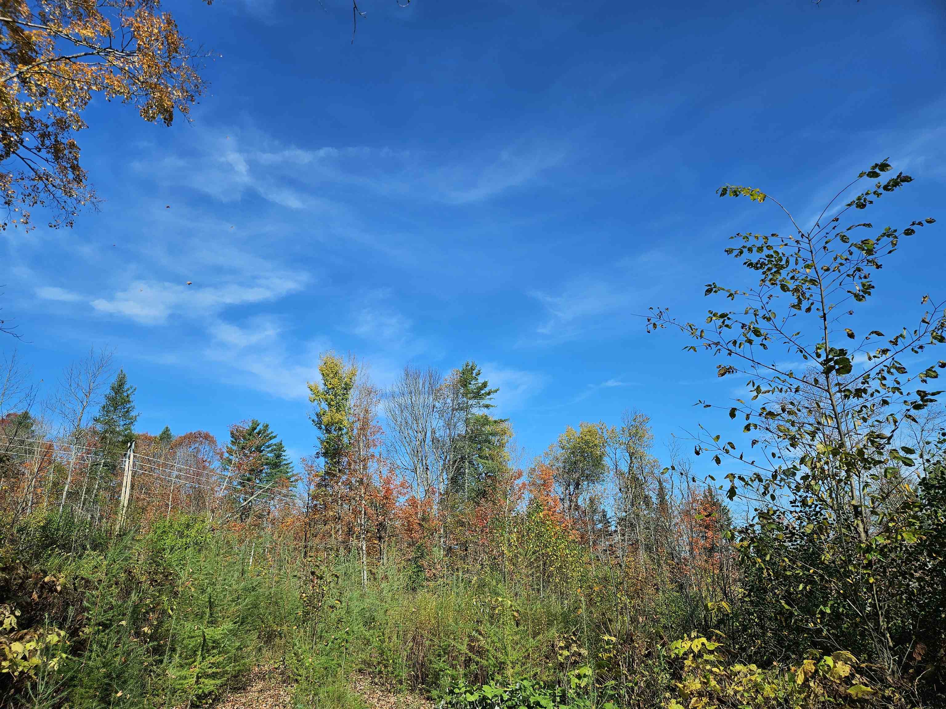 324 Crane Hill Road Sugar Hill, NH 03586 - Photo 17 of 60