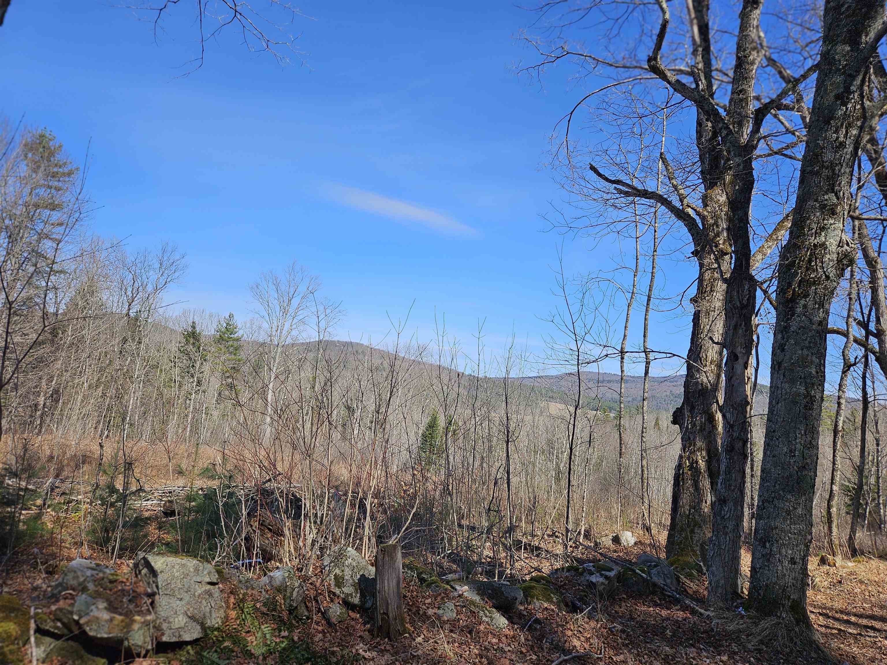 324 Crane Hill Road Sugar Hill, NH 03586 - Photo 18 of 59