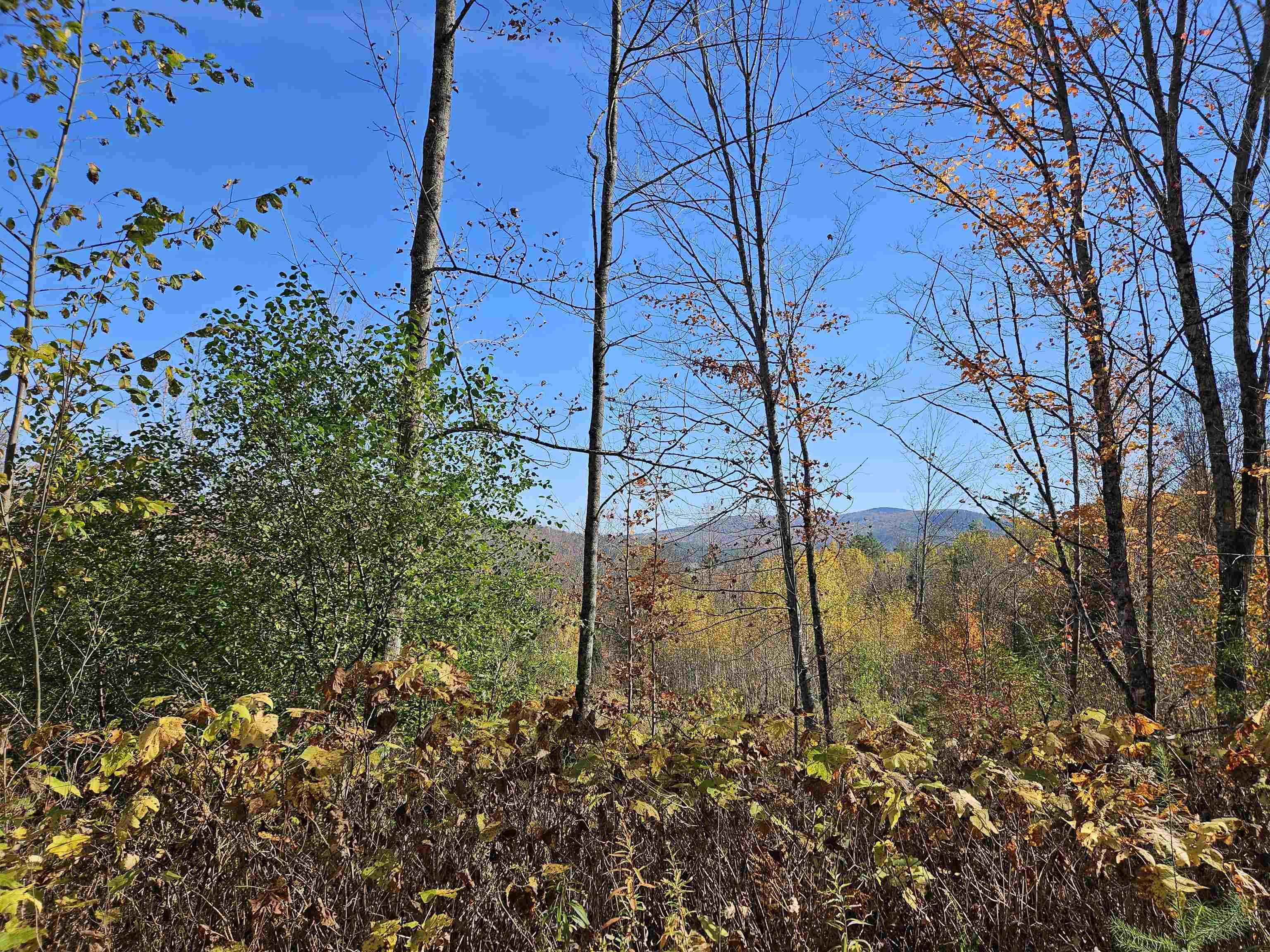 324 Crane Hill Road Sugar Hill, NH 03586 - Photo 19 of 60