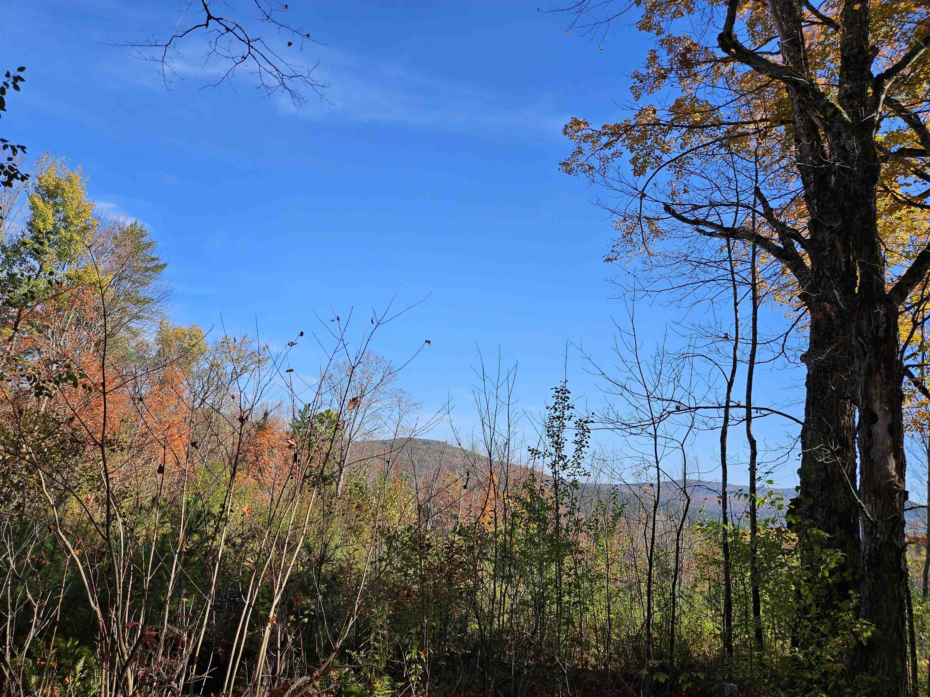 324 Crane Hill Road Sugar Hill, NH 03586 - Photo 20 of 60