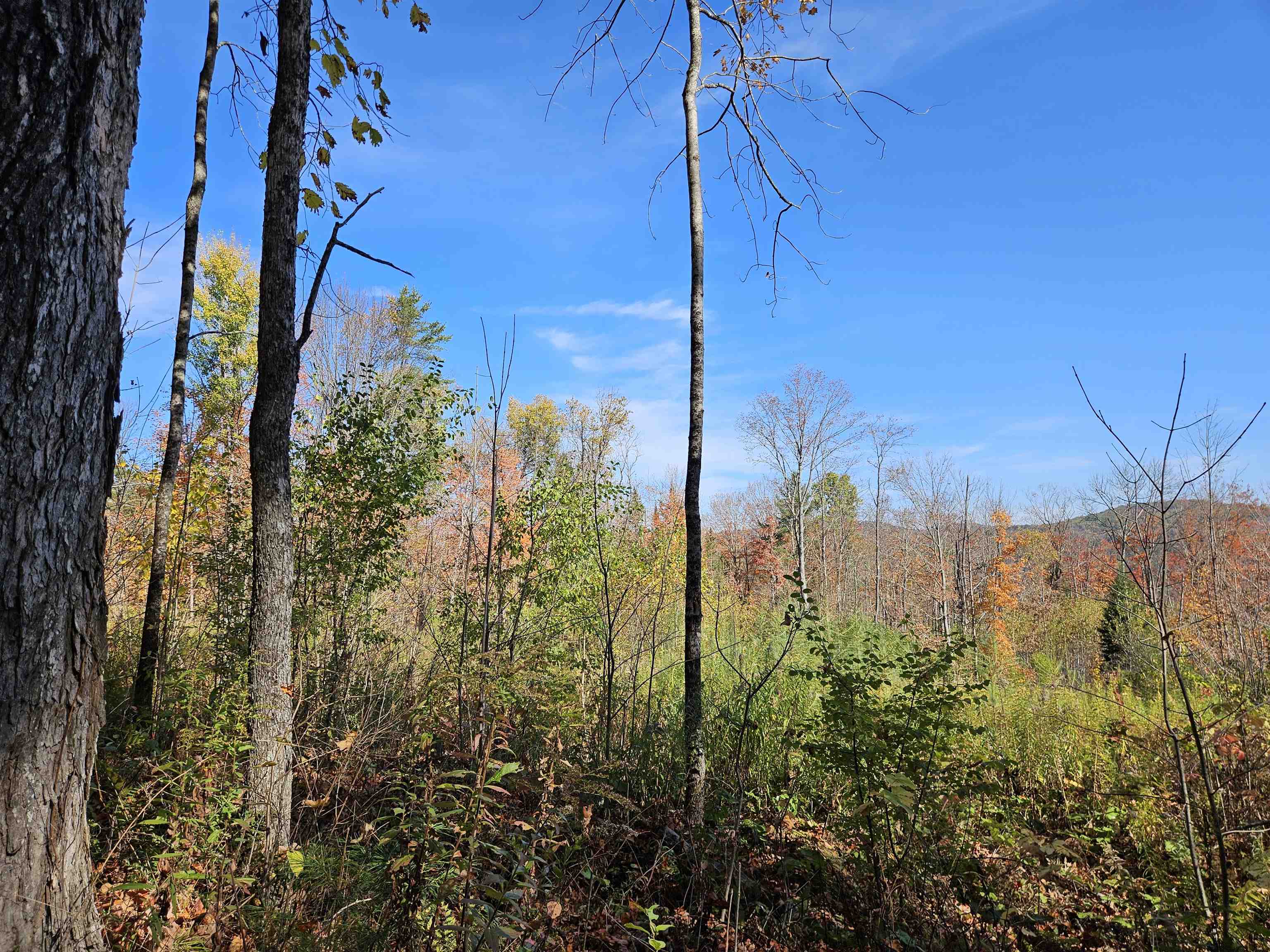 324 Crane Hill Road Sugar Hill, NH 03586 - Photo 21 of 60