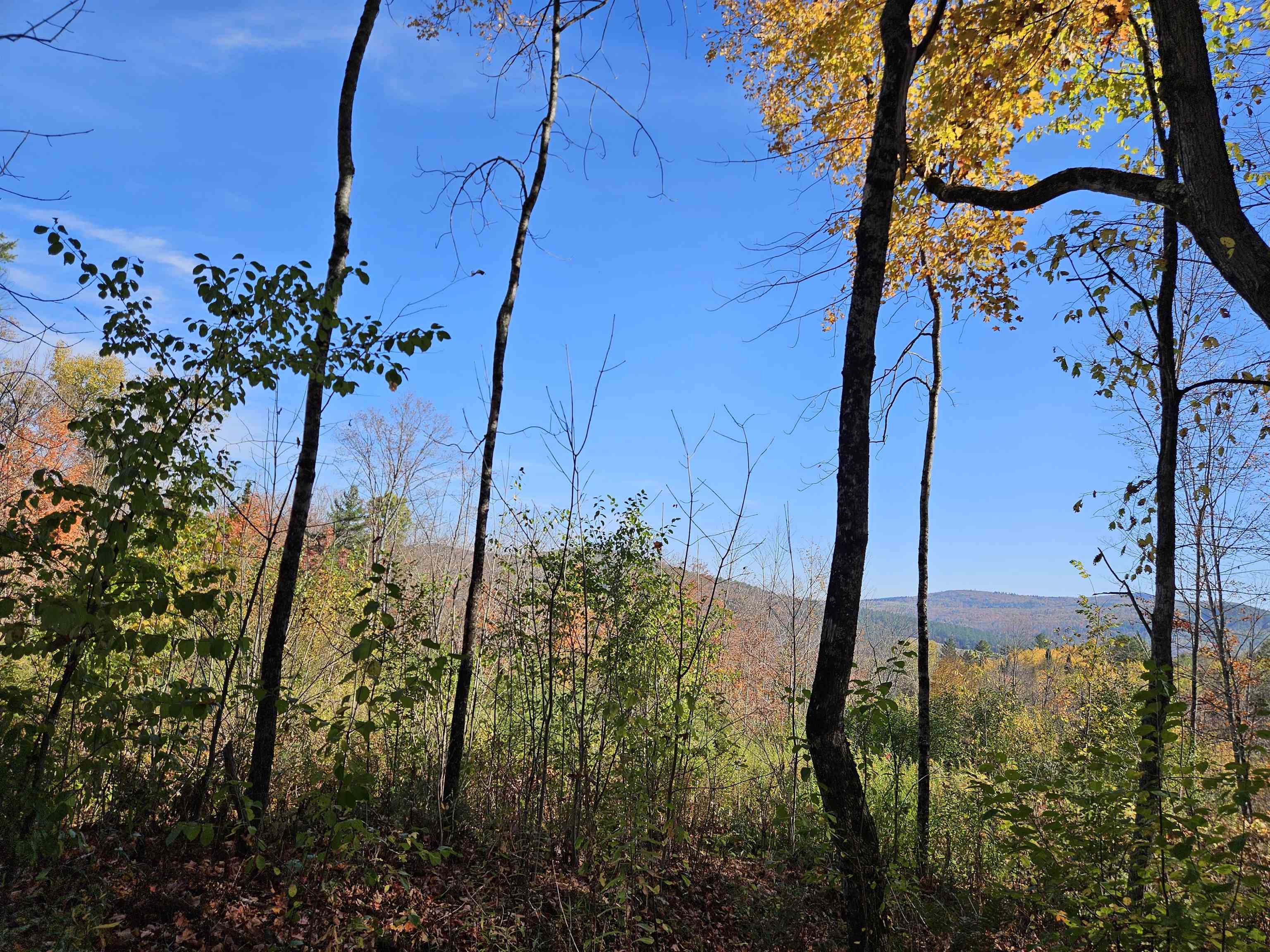 324 Crane Hill Road Sugar Hill, NH 03586 - Photo 22 of 60
