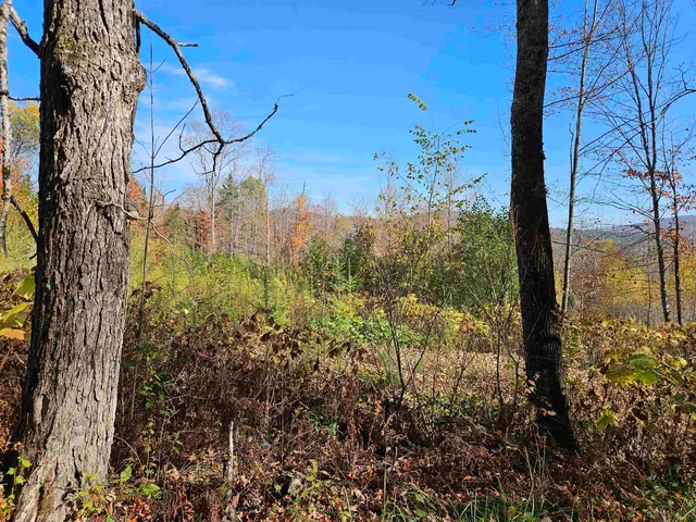 $174,000 | 324 Crane Hill Road, Sugar Hill, NH 03586