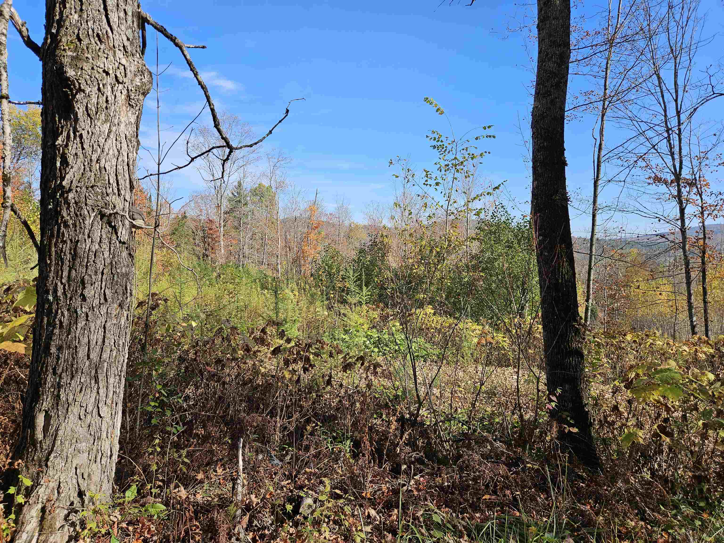 324 Crane Hill Road Sugar Hill, NH 03586 - Photo 23 of 59