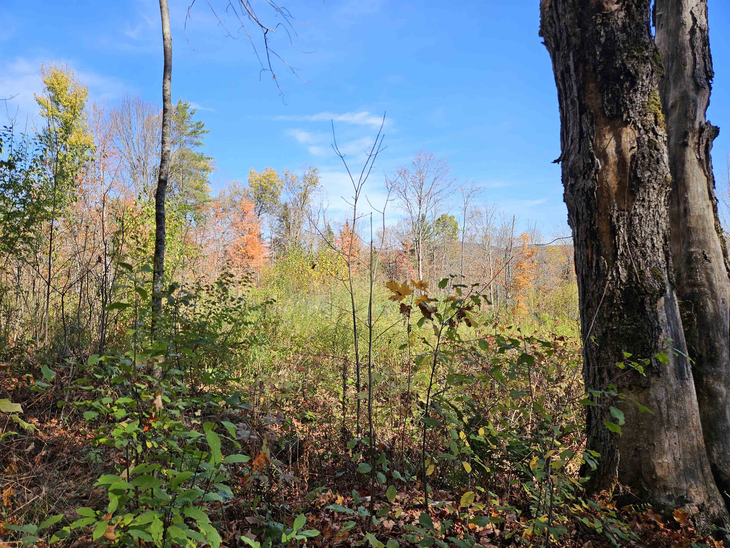 324 Crane Hill Road Sugar Hill, NH 03586 - Photo 23 of 60