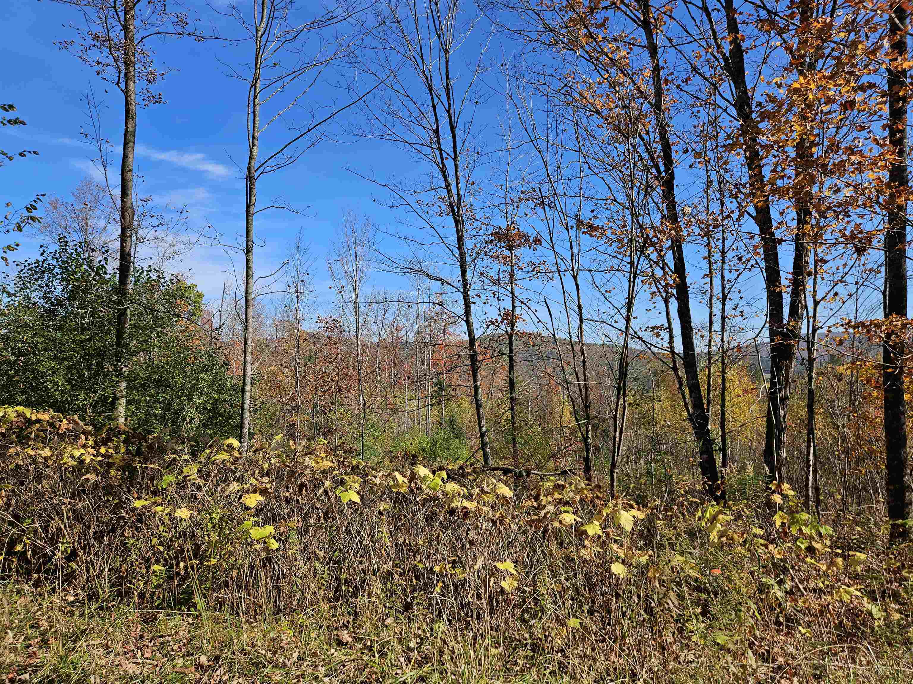 324 Crane Hill Road Sugar Hill, NH 03586 - Photo 24 of 60