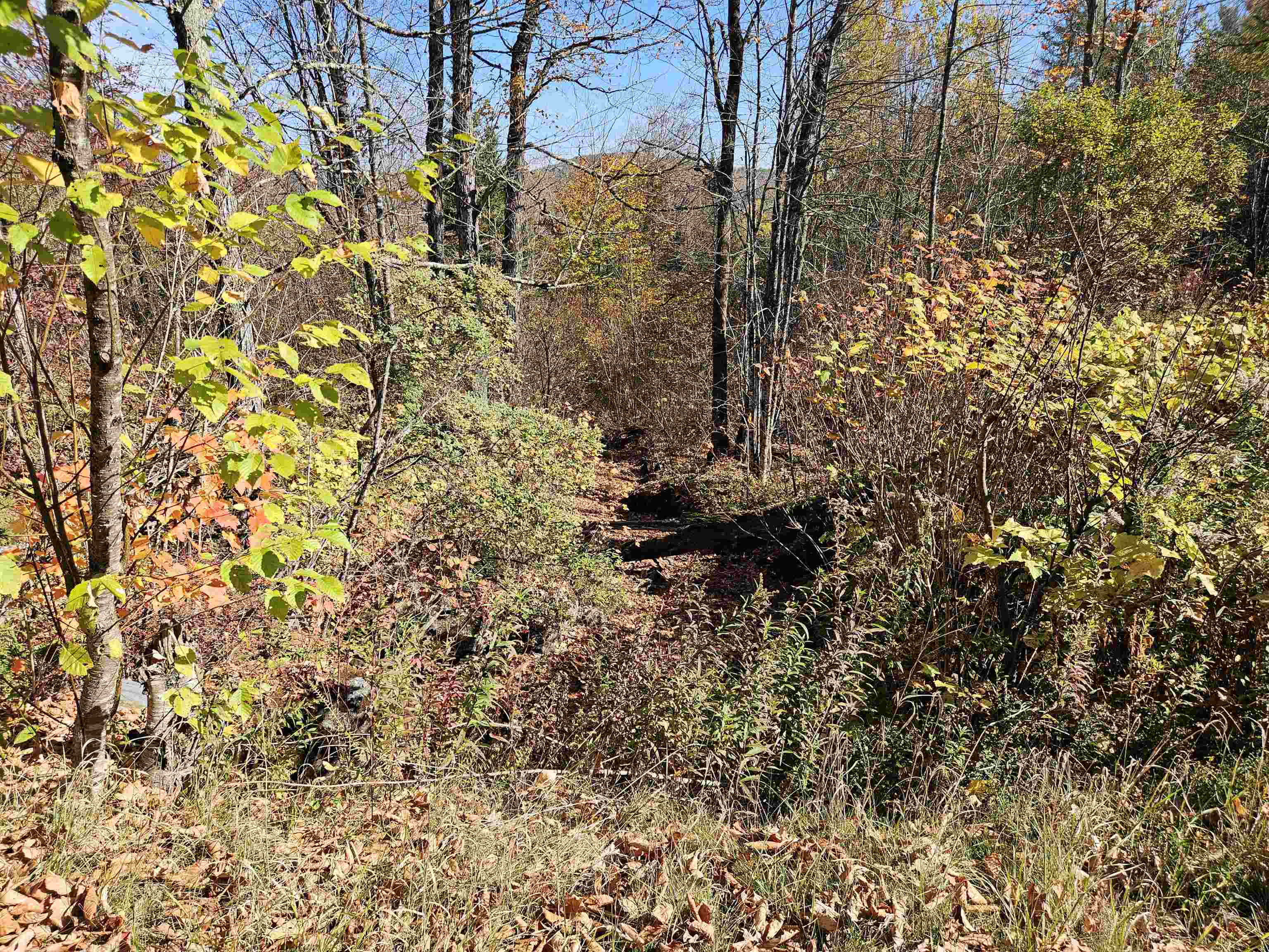 324 Crane Hill Road Sugar Hill, NH 03586 - Photo 25 of 59