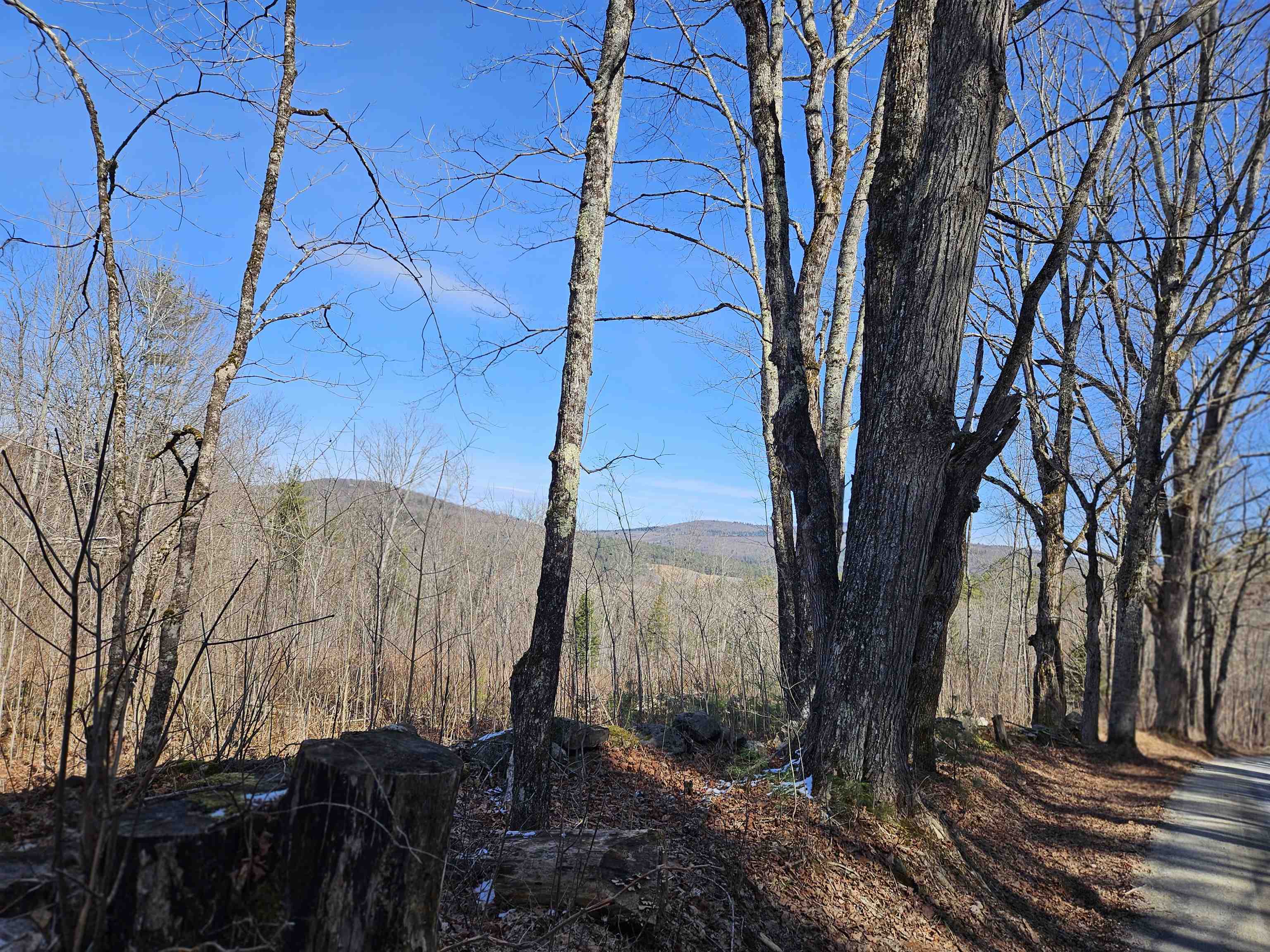 324 Crane Hill Road Sugar Hill, NH 03586 - Photo 25 of 60