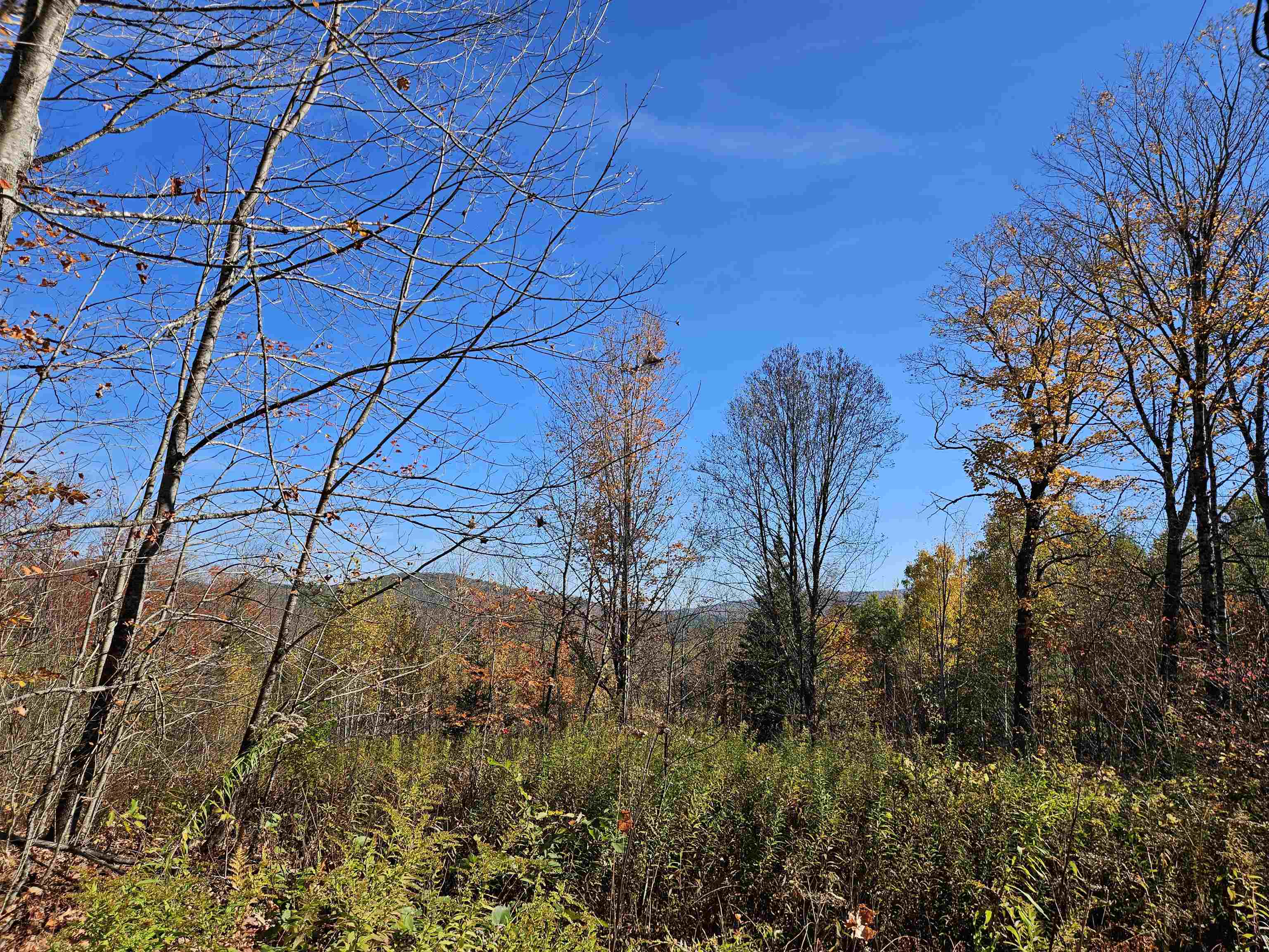 324 Crane Hill Road Sugar Hill, NH 03586 - Photo 26 of 60