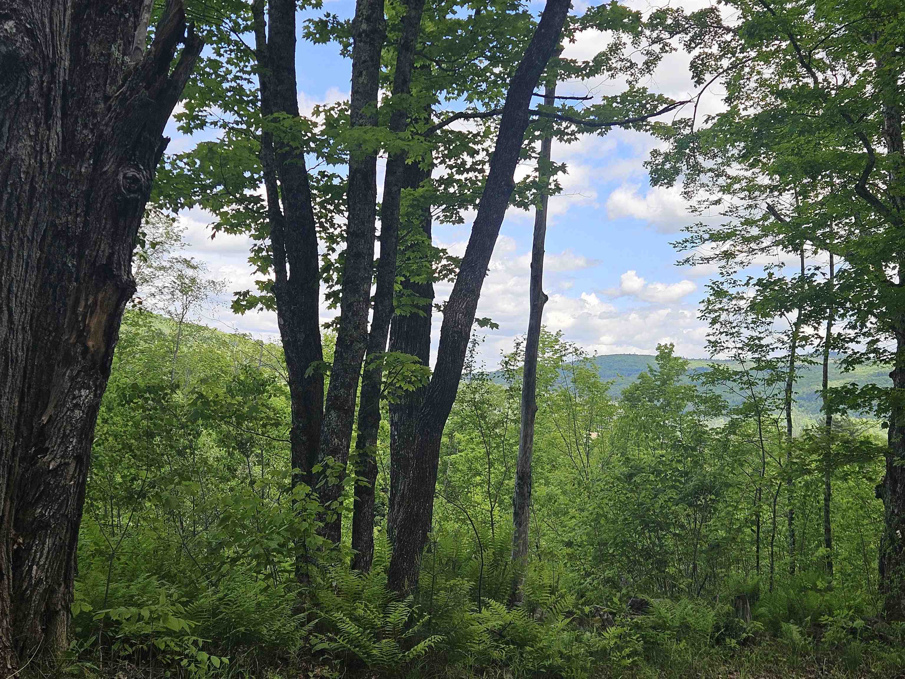 324 Crane Hill Road Sugar Hill, NH 03586 - Photo 26 of 59