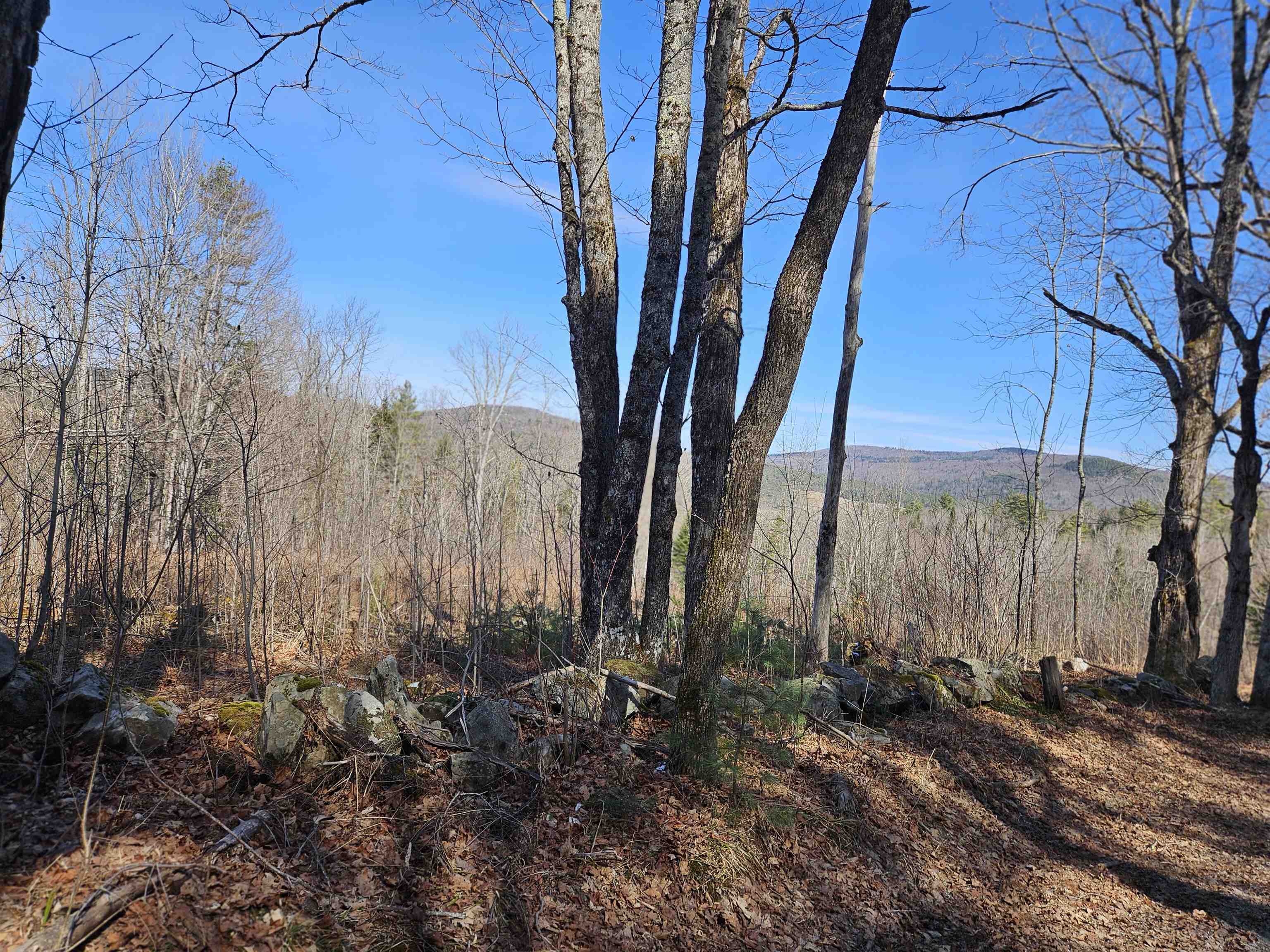 324 Crane Hill Road Sugar Hill, NH 03586 - Photo 27 of 60