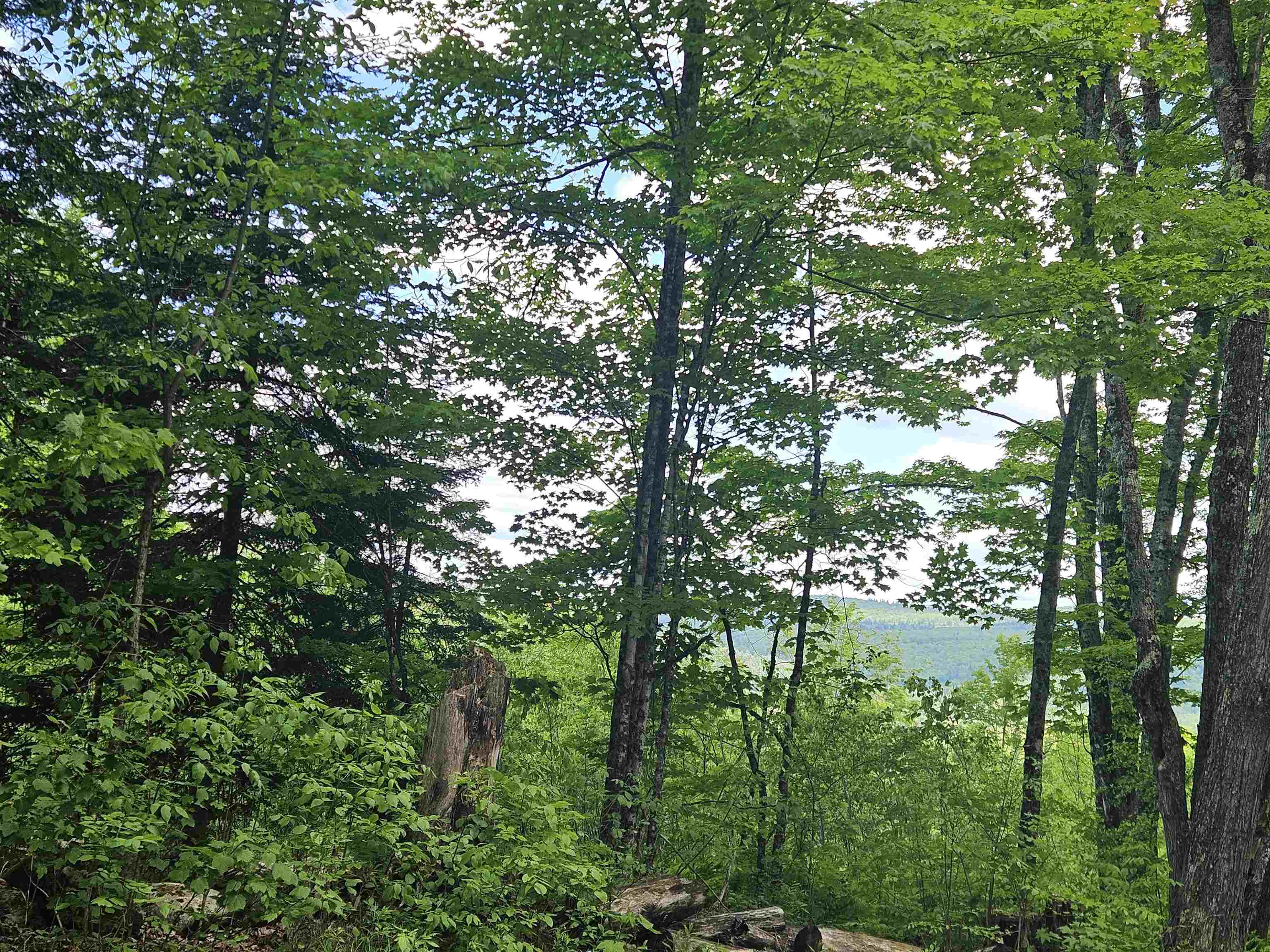 324 Crane Hill Road Sugar Hill, NH 03586 - Photo 28 of 59