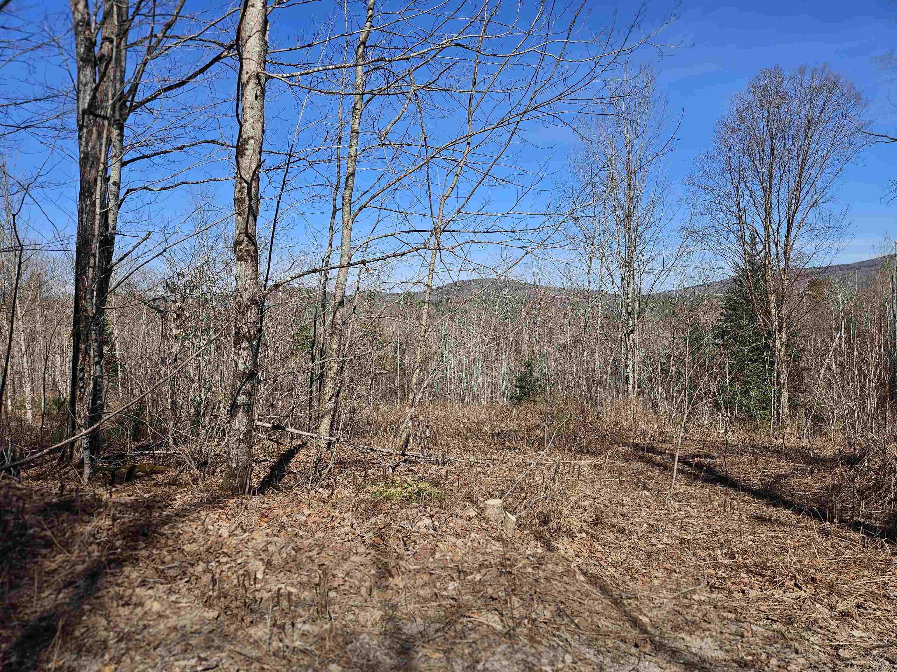 324 Crane Hill Road Sugar Hill, NH 03586 - Photo 29 of 60