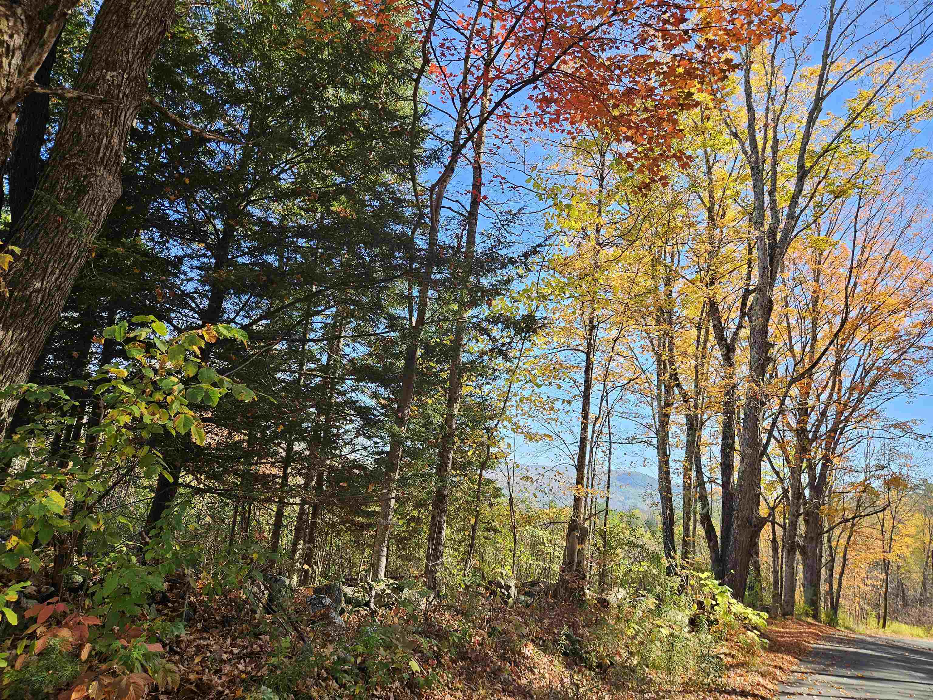 324 Crane Hill Road Sugar Hill, NH 03586 - Photo 3 of 59