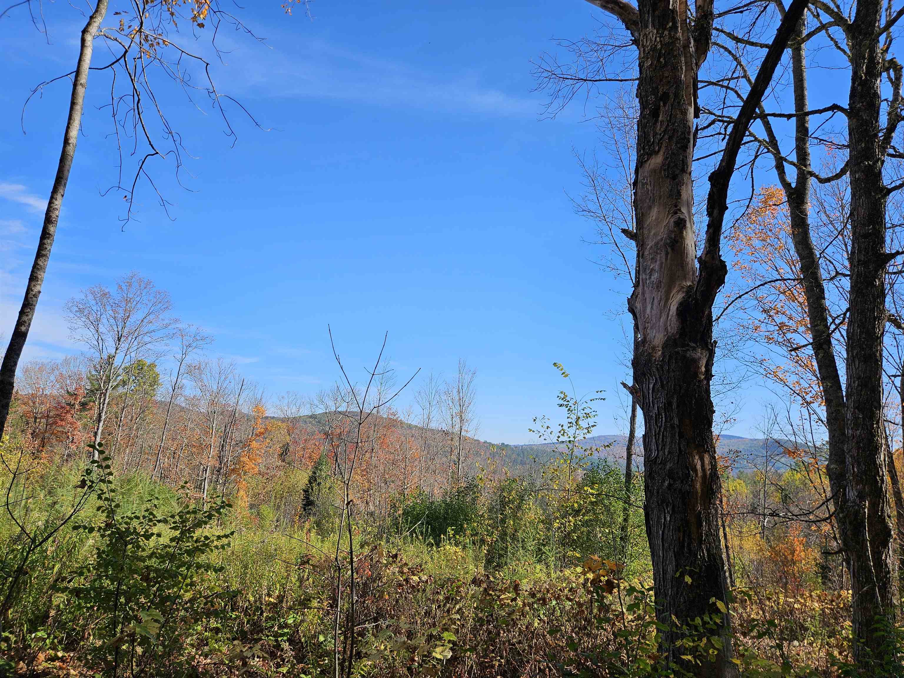 324 Crane Hill Road Sugar Hill, NH 03586 - Photo 31 of 60