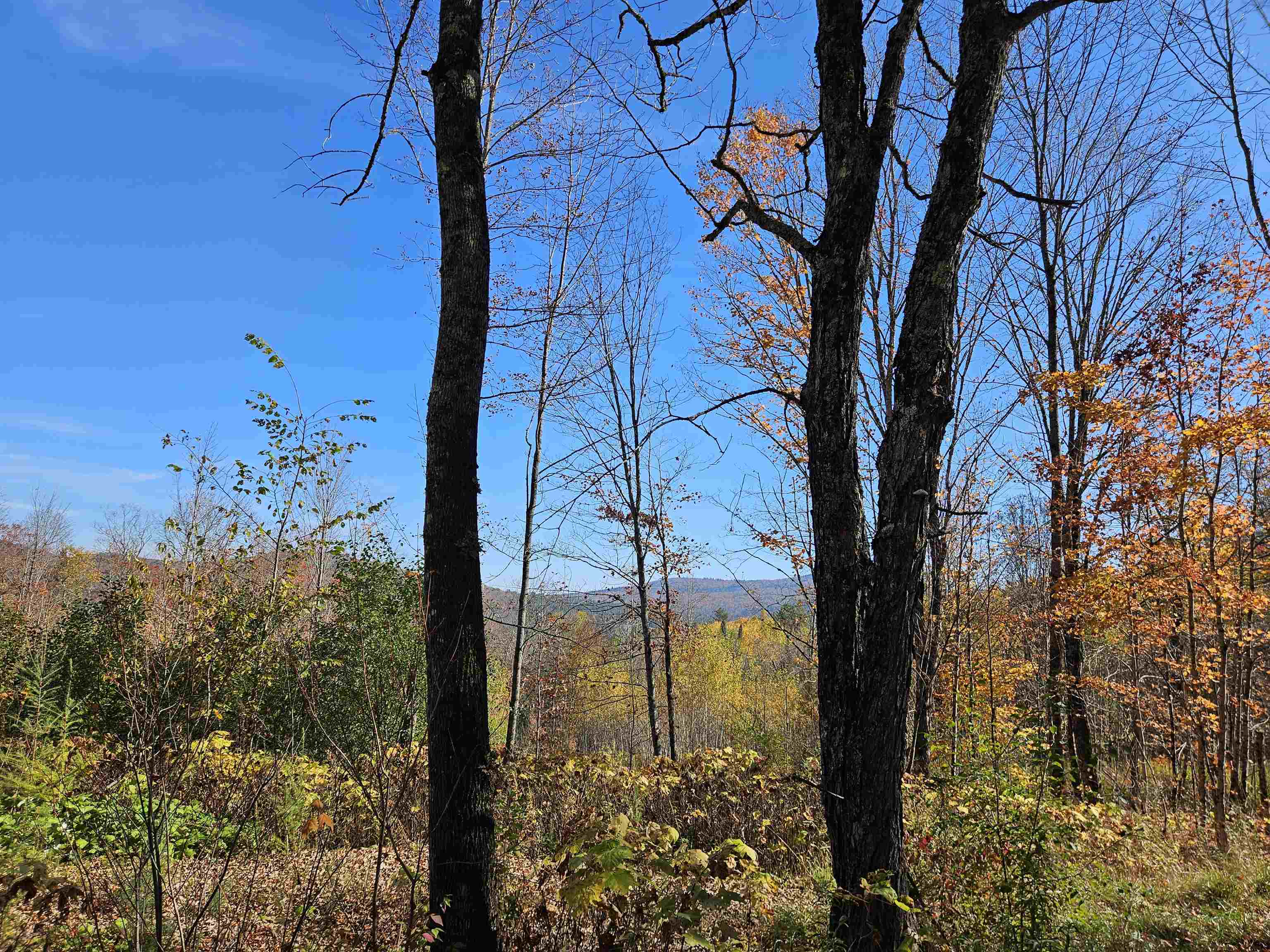 324 Crane Hill Road Sugar Hill, NH 03586 - Photo 33 of 60
