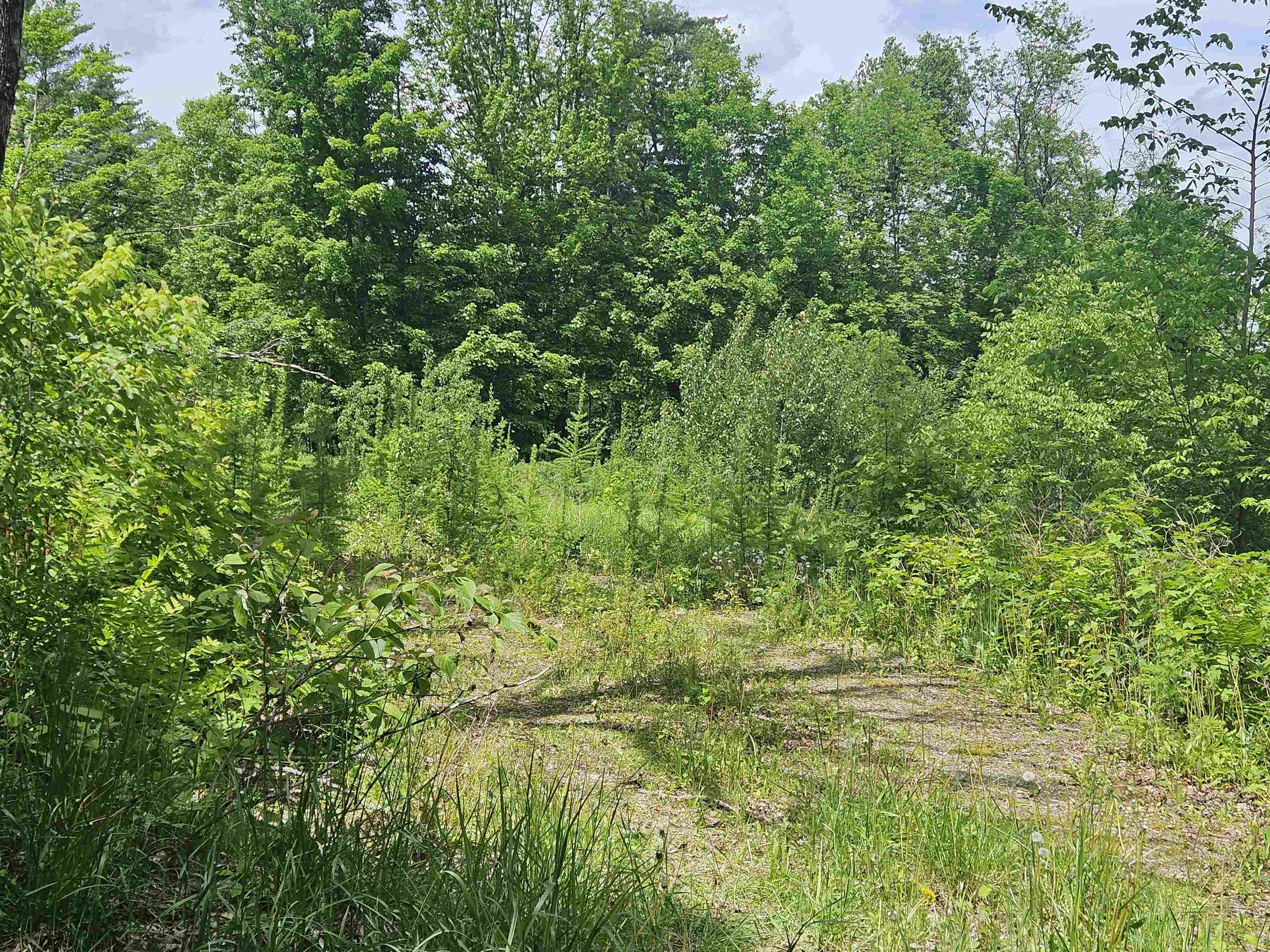 324 Crane Hill Road Sugar Hill, NH 03586 - Photo 35 of 59