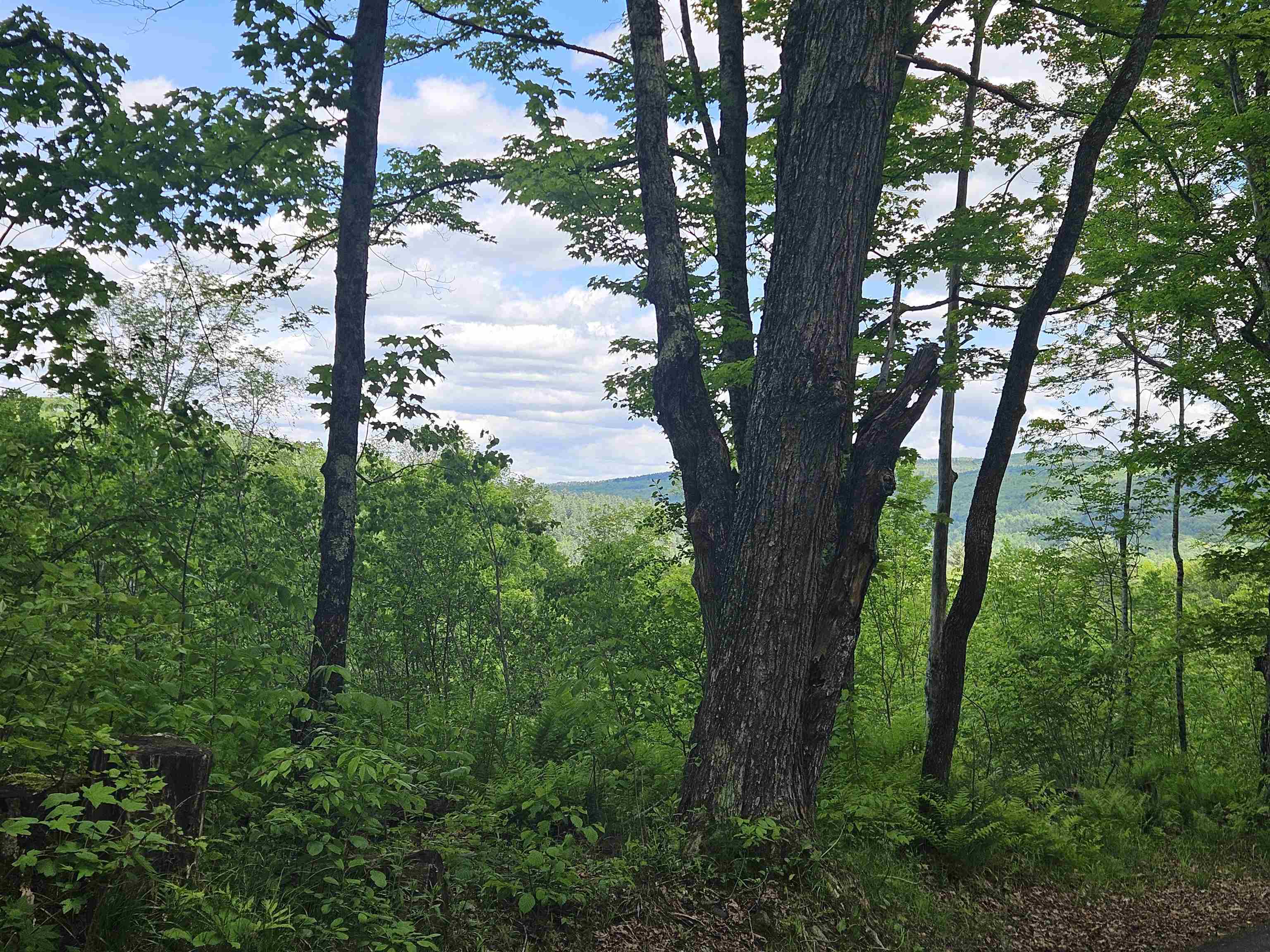 324 Crane Hill Road Sugar Hill, NH 03586 - Photo 38 of 60