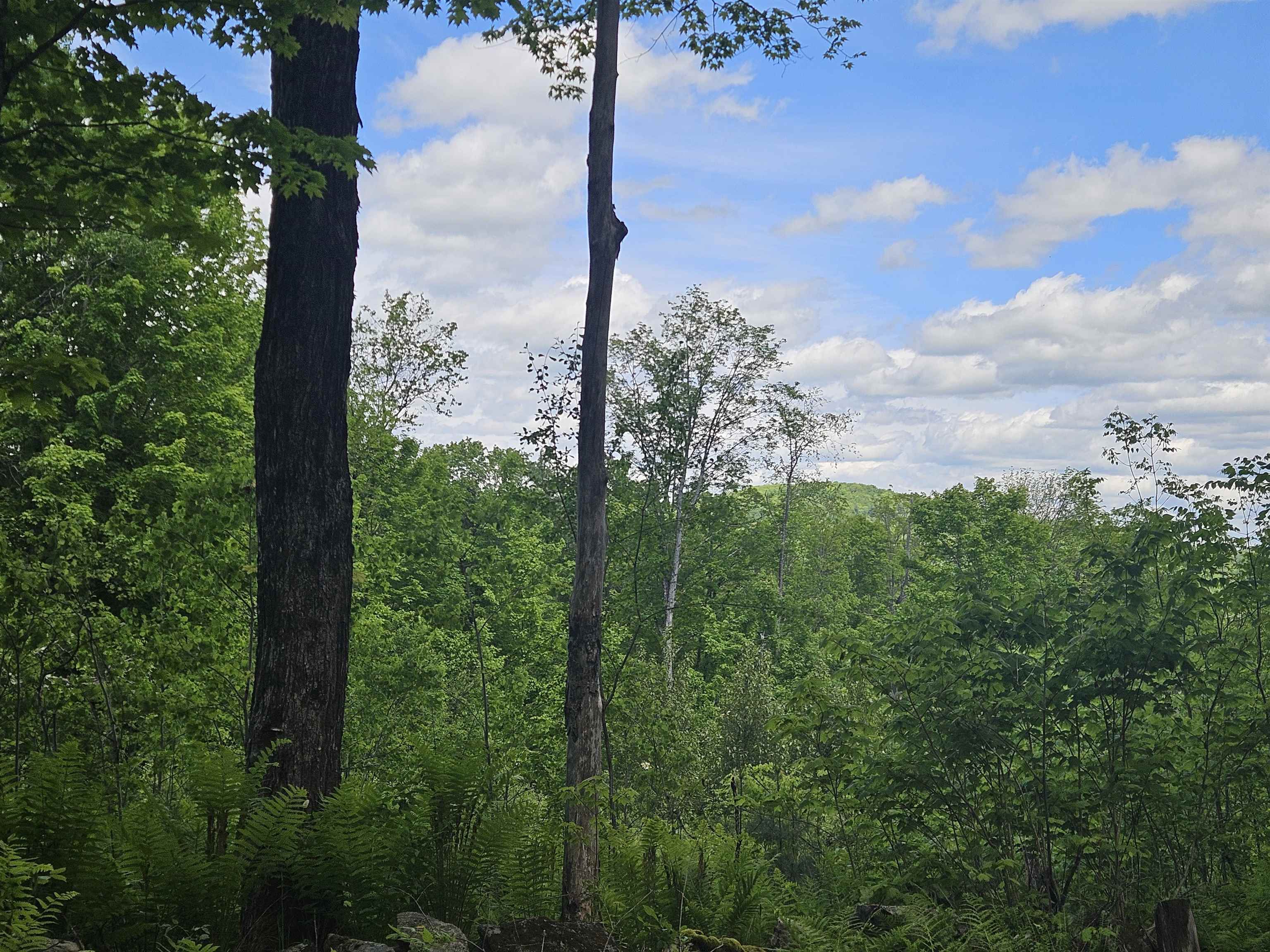324 Crane Hill Road Sugar Hill, NH 03586 - Photo 40 of 60