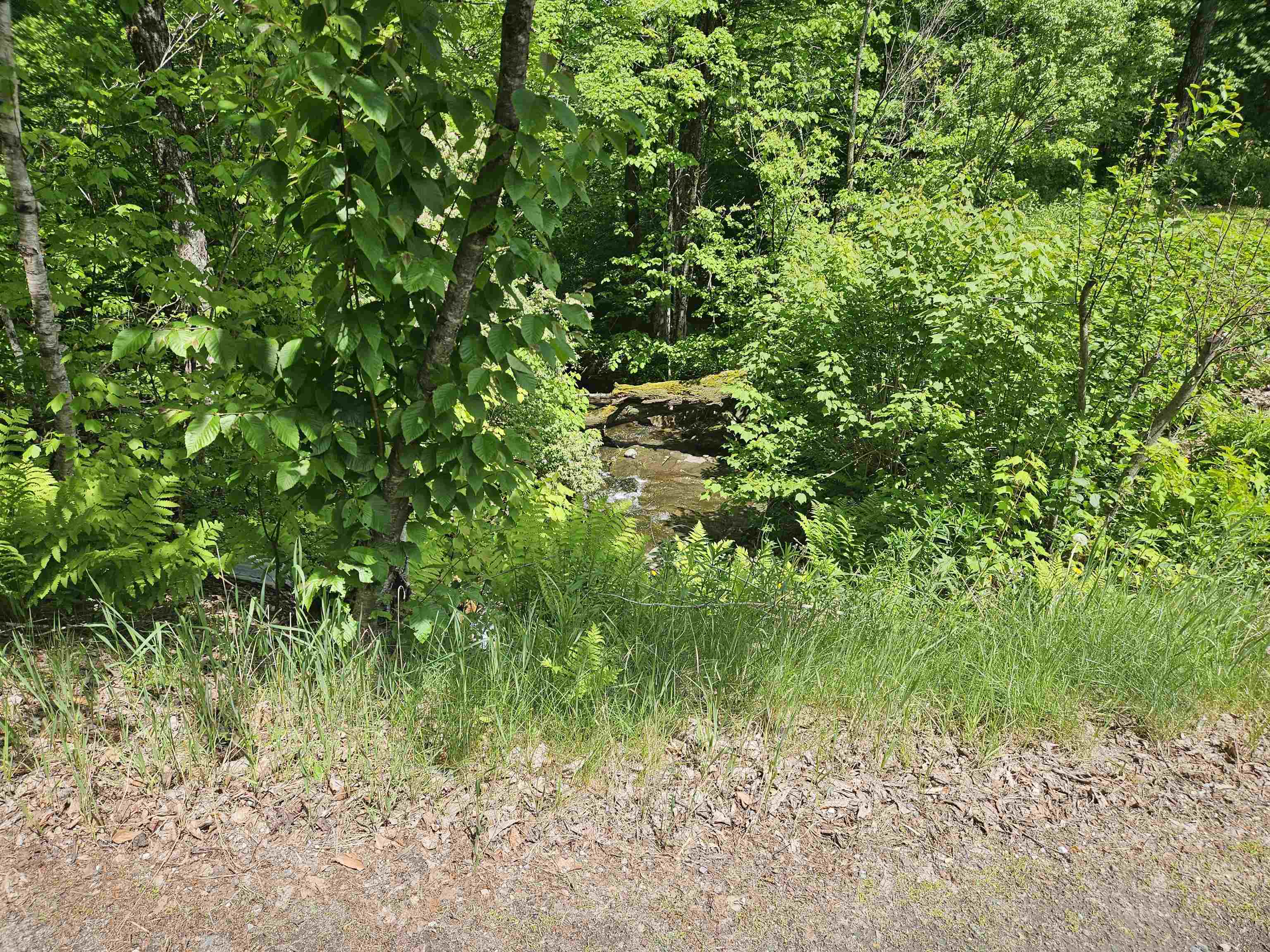 324 Crane Hill Road Sugar Hill, NH 03586 - Photo 40 of 59