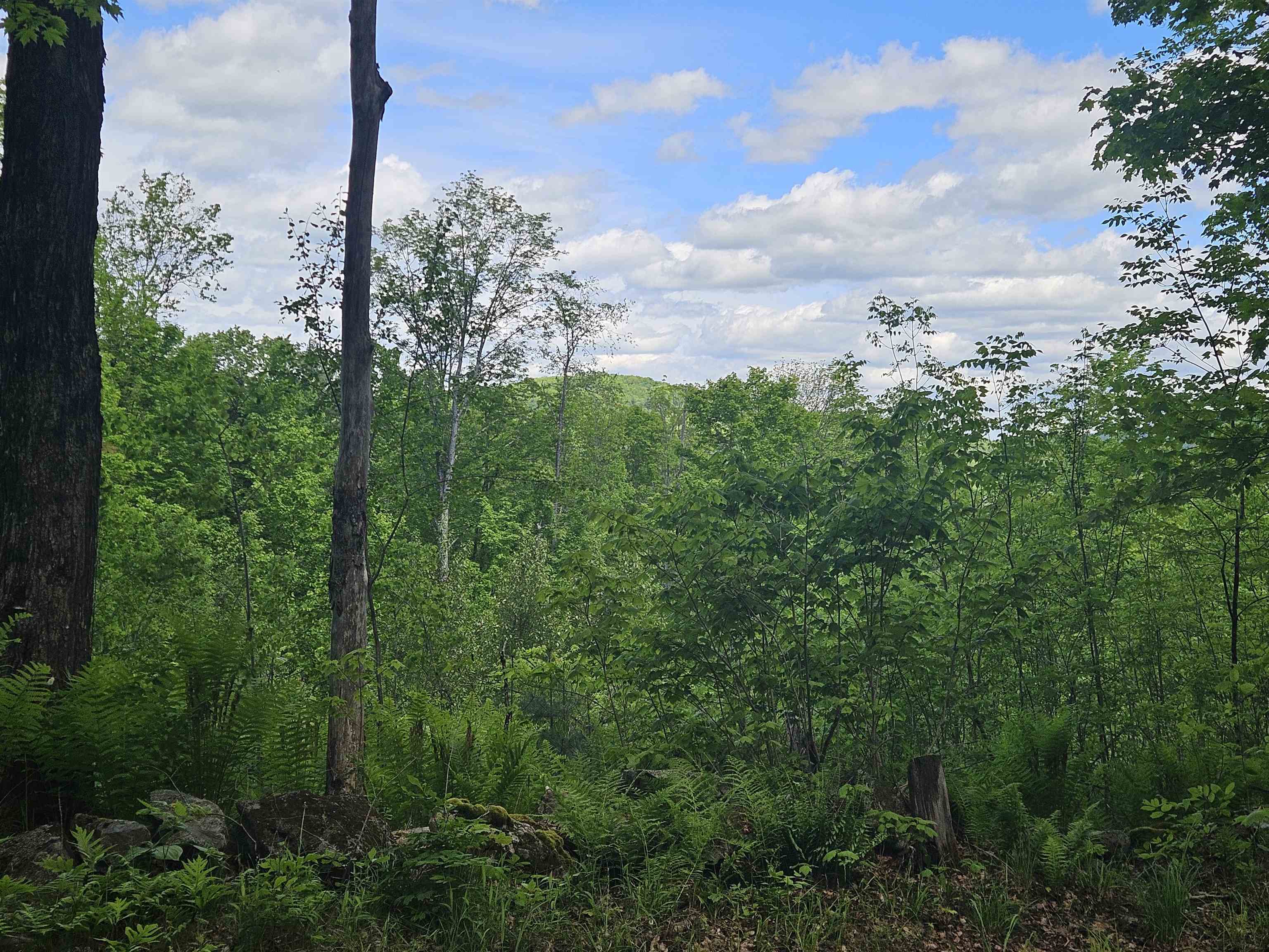 324 Crane Hill Road Sugar Hill, NH 03586 - Photo 41 of 60