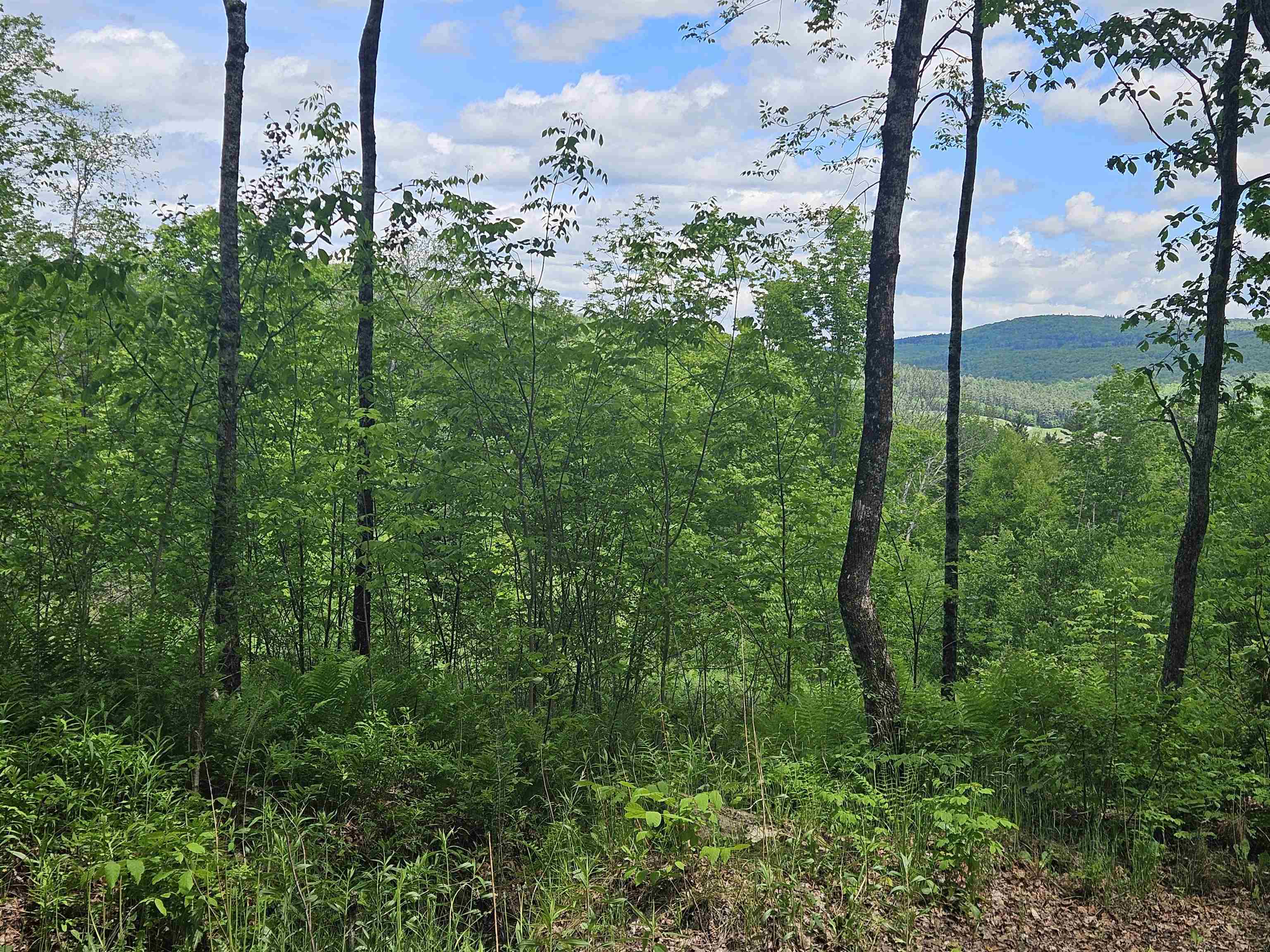 324 Crane Hill Road Sugar Hill, NH 03586 - Photo 43 of 60