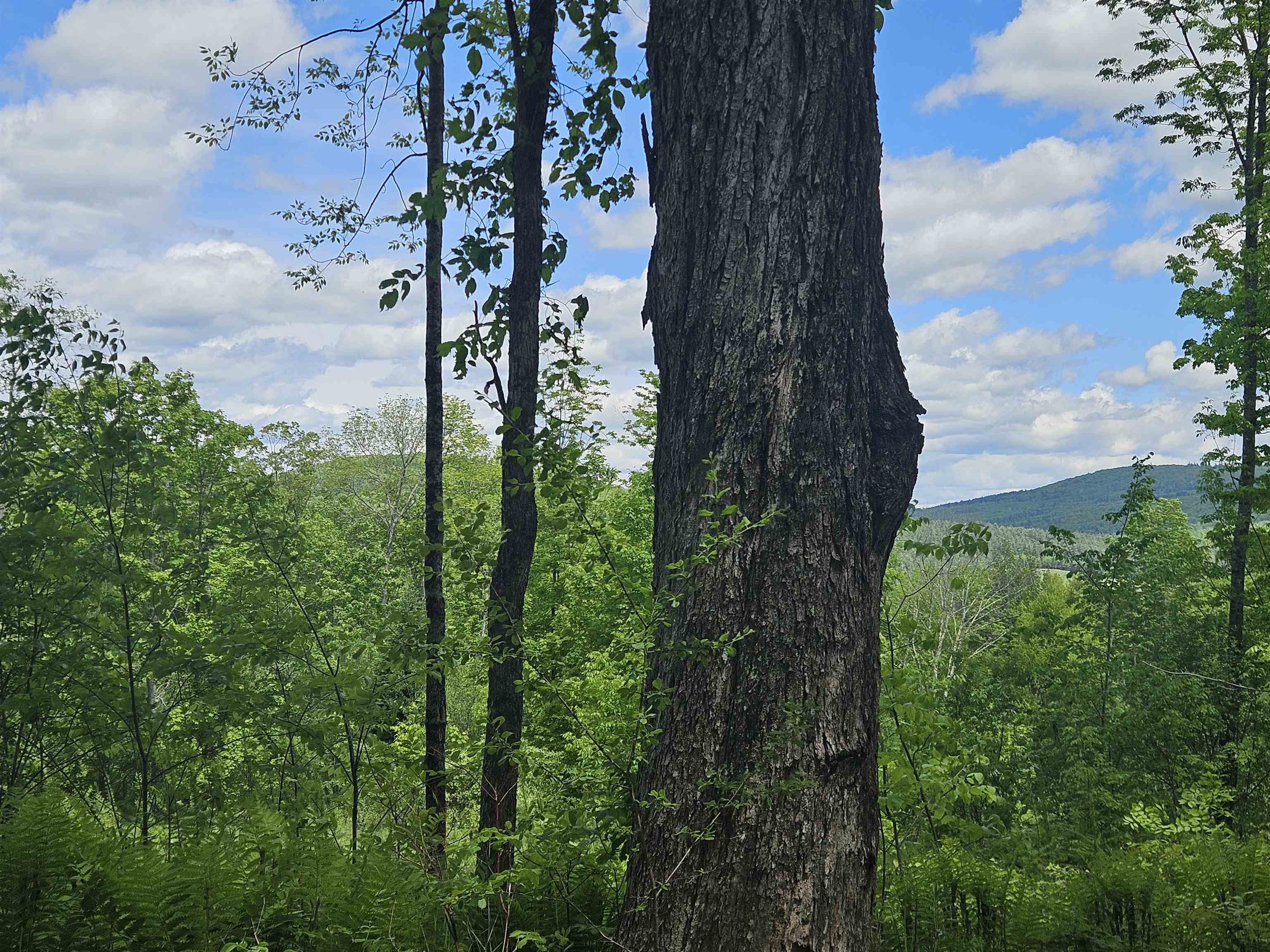 324 Crane Hill Road Sugar Hill, NH 03586 - Photo 45 of 60