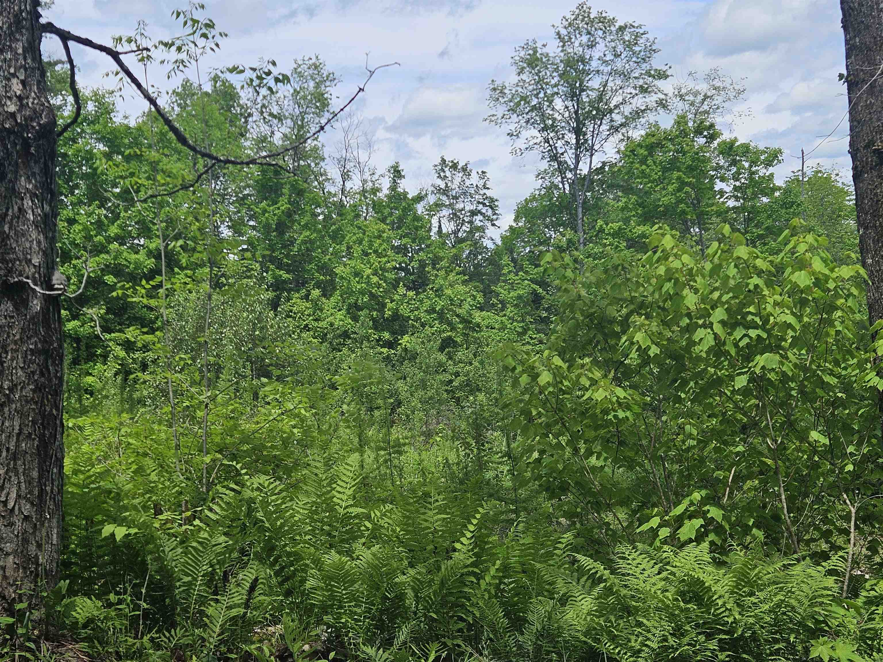 324 Crane Hill Road Sugar Hill, NH 03586 - Photo 46 of 60