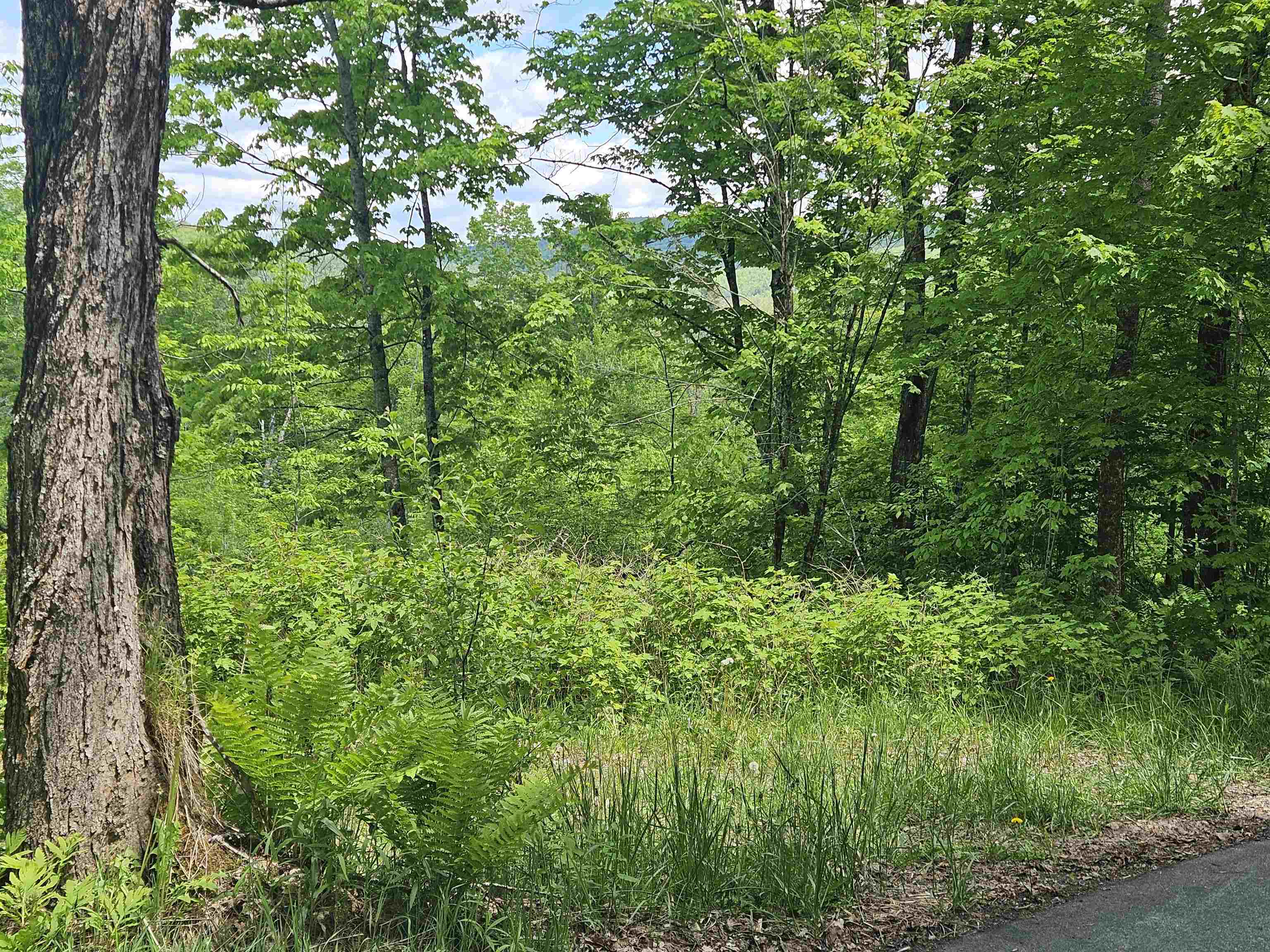 324 Crane Hill Road Sugar Hill, NH 03586 - Photo 47 of 60