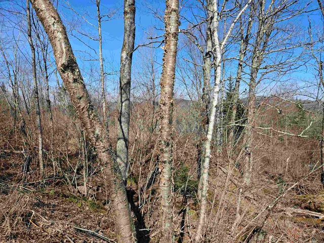 $174,000 | 324 Crane Hill Road, Sugar Hill, NH 03586