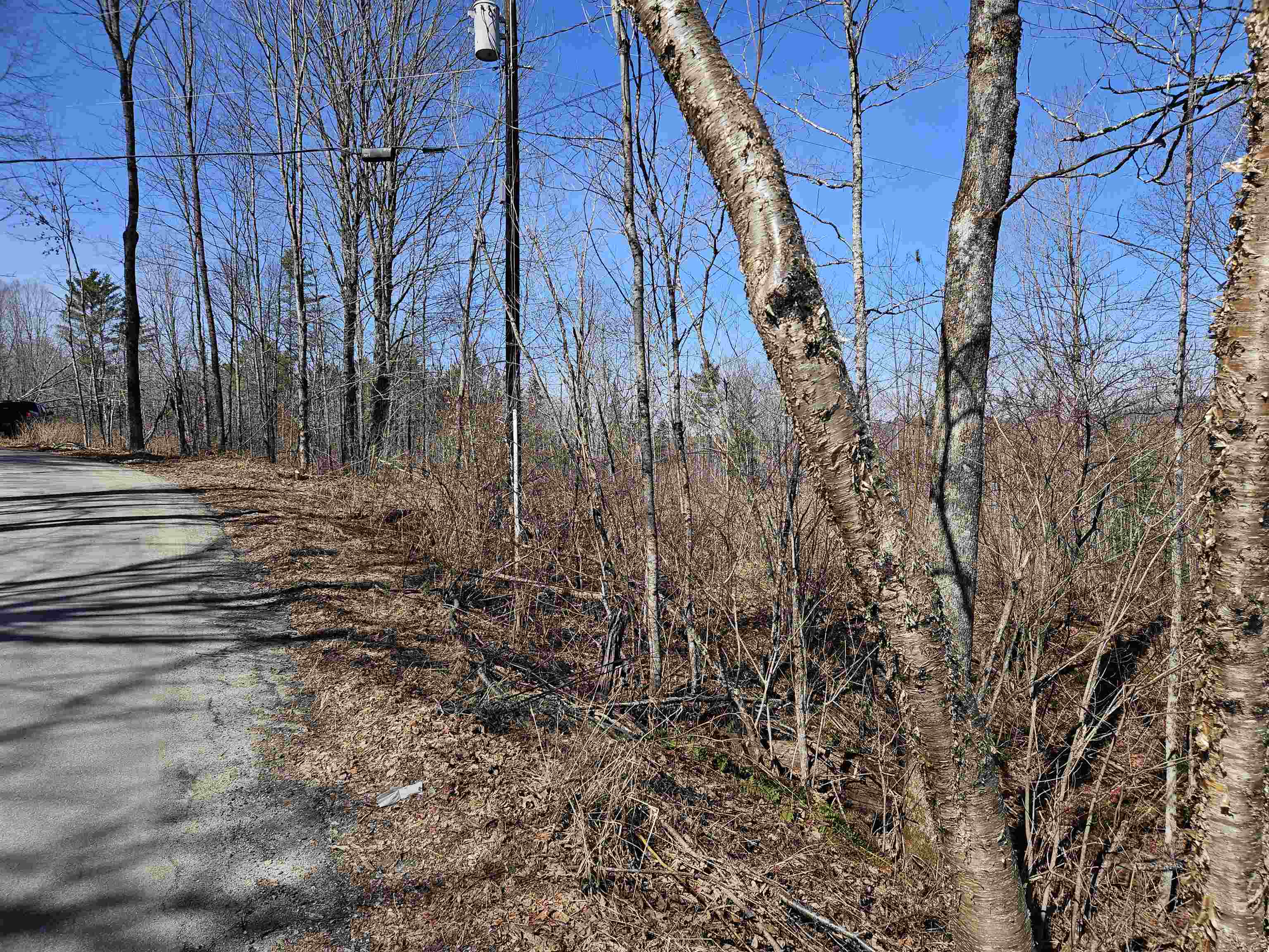 324 Crane Hill Road Sugar Hill, NH 03586 - Photo 49 of 59