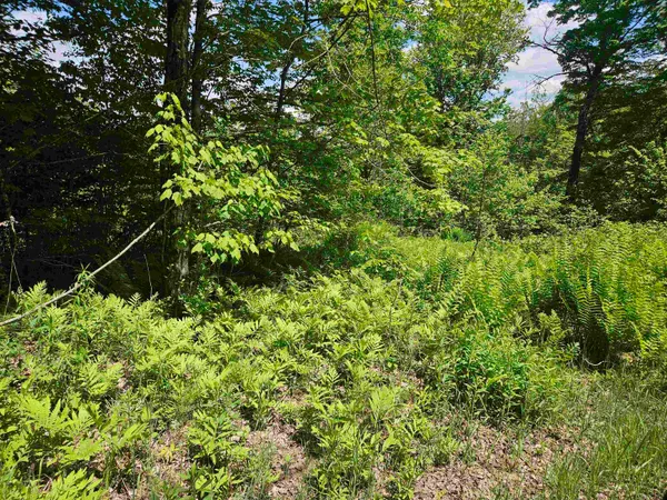 $164,000 | 324 Crane Hill Road, Sugar Hill, NH 03586