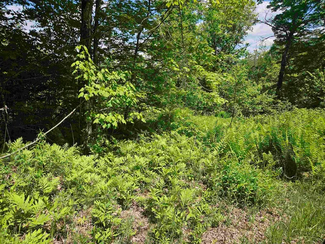 $174,000 | 324 Crane Hill Road, Sugar Hill, NH 03586