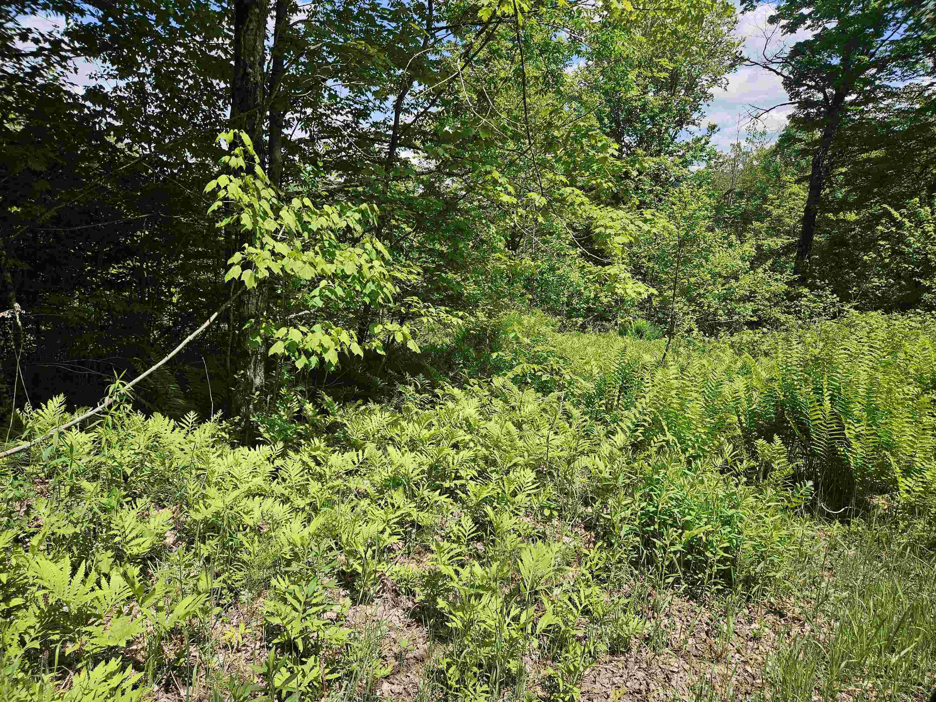 324 Crane Hill Road Sugar Hill, NH 03586 - Photo 50 of 60