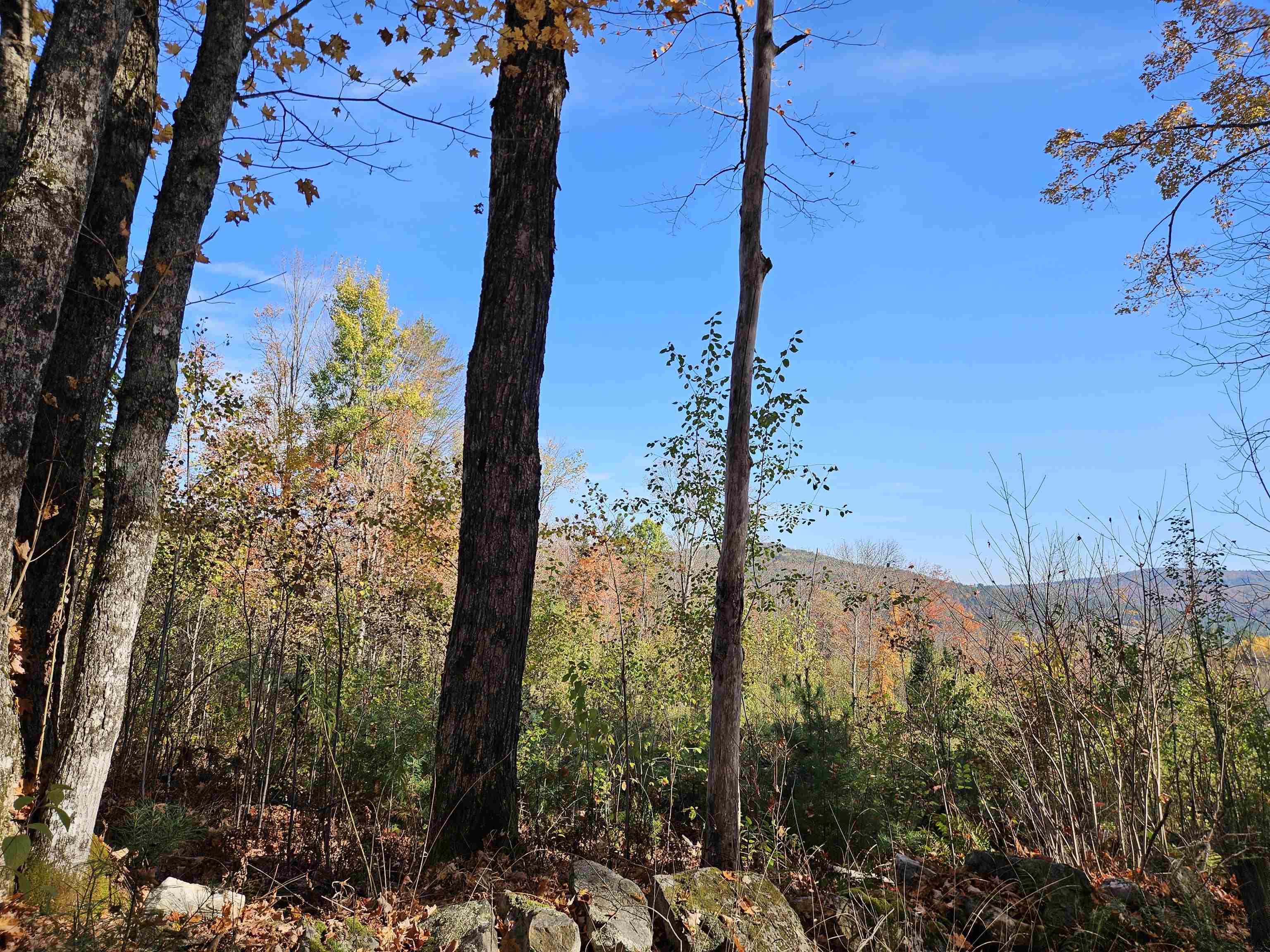 324 Crane Hill Road Sugar Hill, NH 03586 - Photo 5 of 59