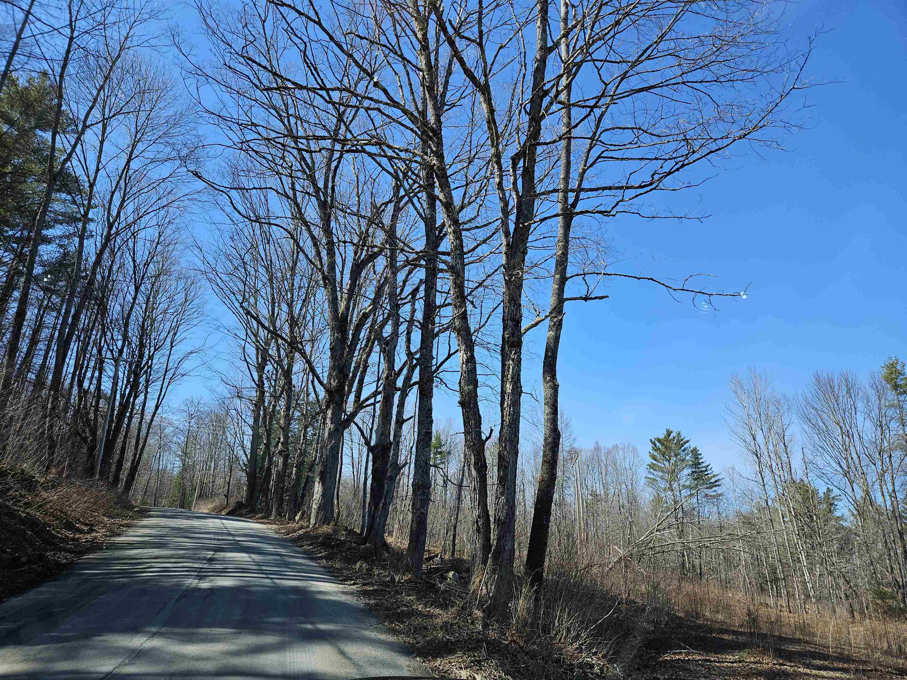 324 Crane Hill Road Sugar Hill, NH 03586 - Photo 52 of 60