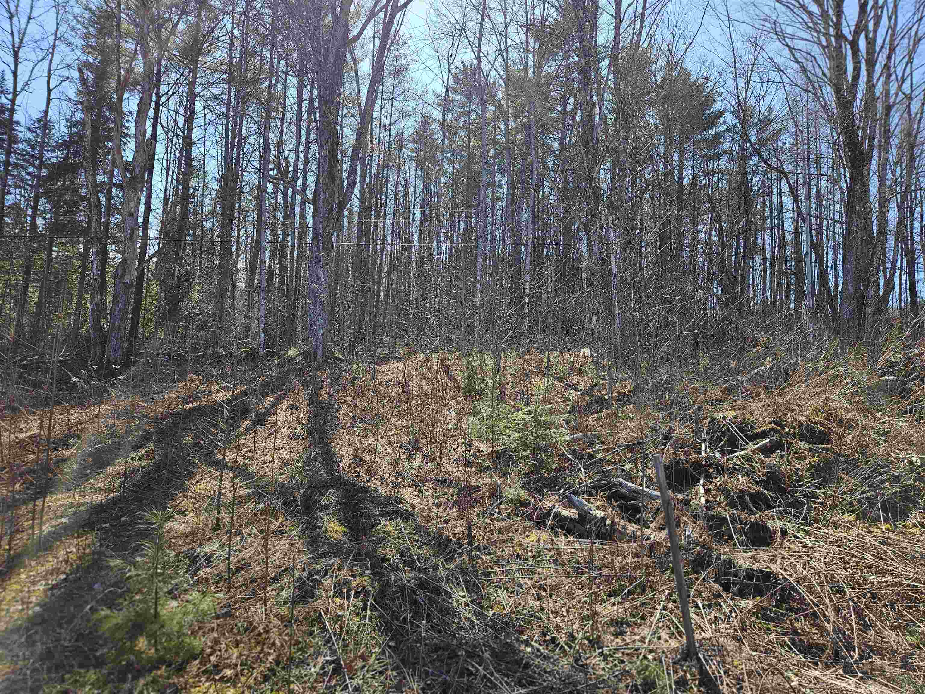 324 Crane Hill Road Sugar Hill, NH 03586 - Photo 53 of 59