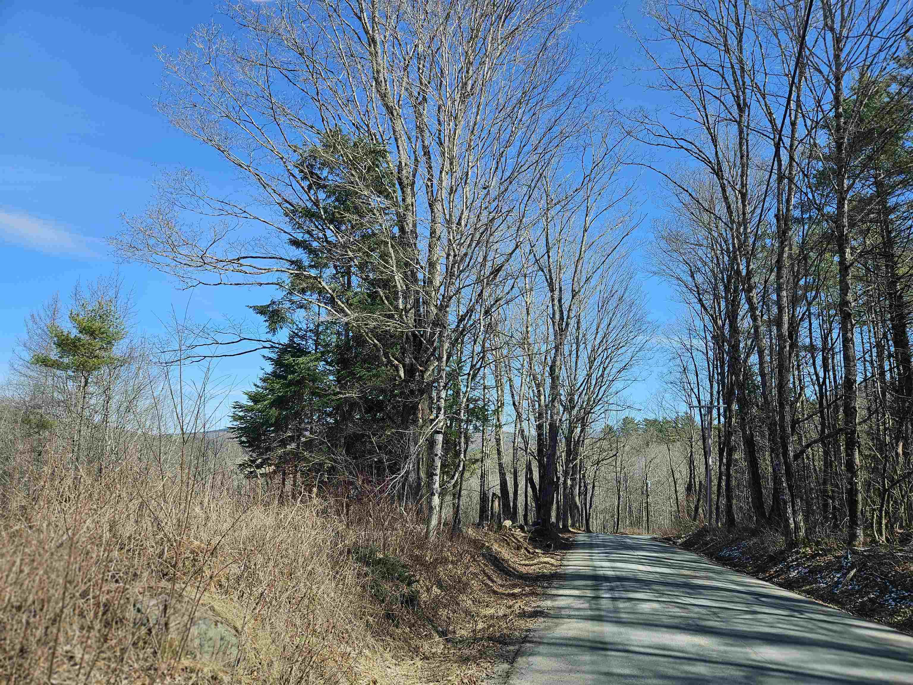 324 Crane Hill Road Sugar Hill, NH 03586 - Photo 54 of 60