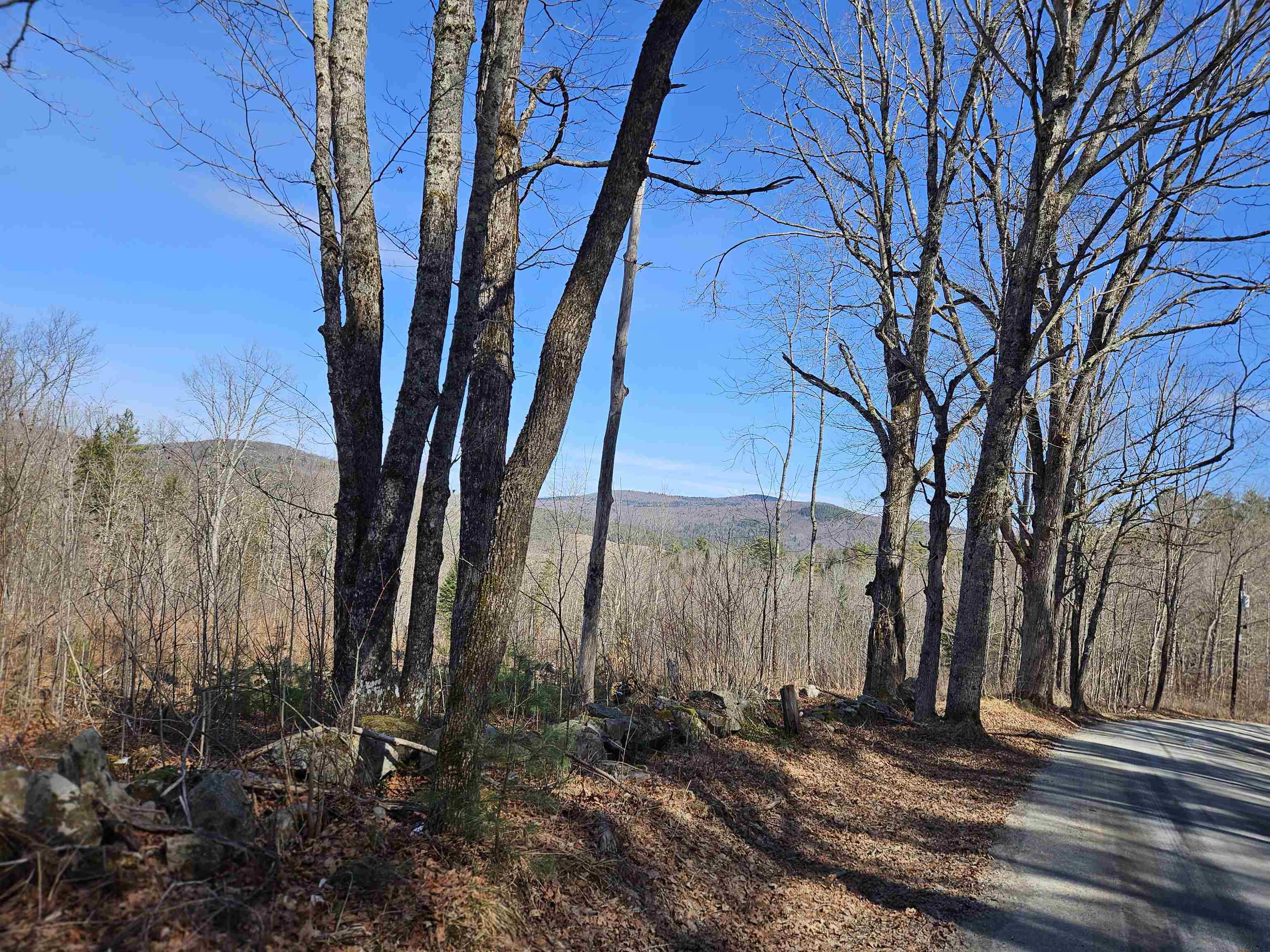 324 Crane Hill Road Sugar Hill, NH 03586 - Photo 58 of 60